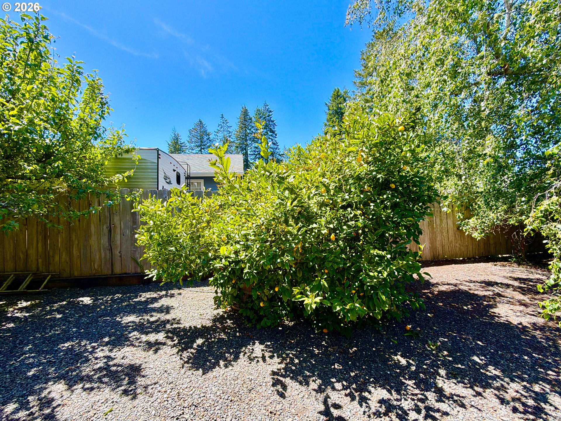 866 Jodee Ln Property Photo 10
