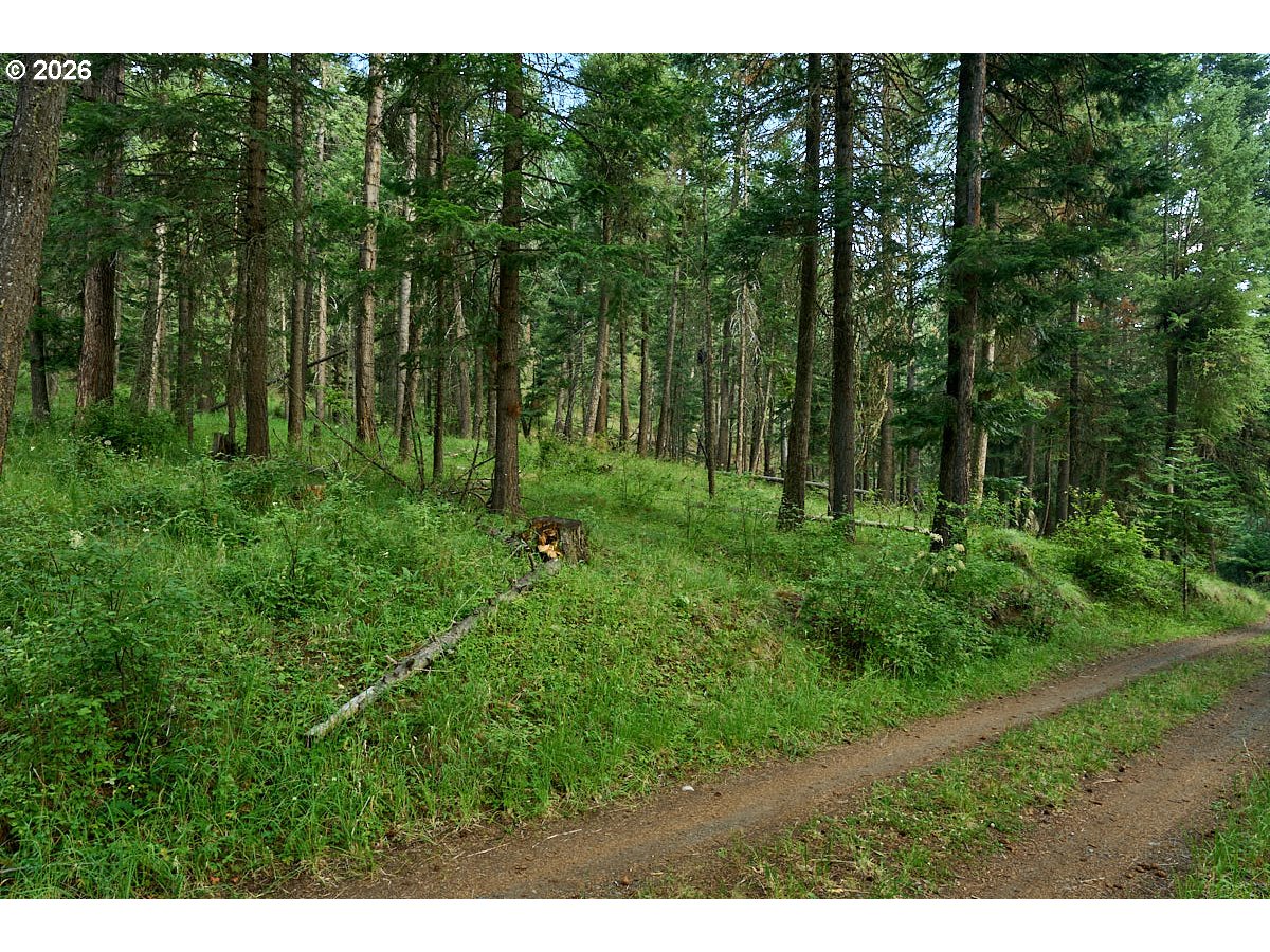 Chipmunk Lane Property Photo 2