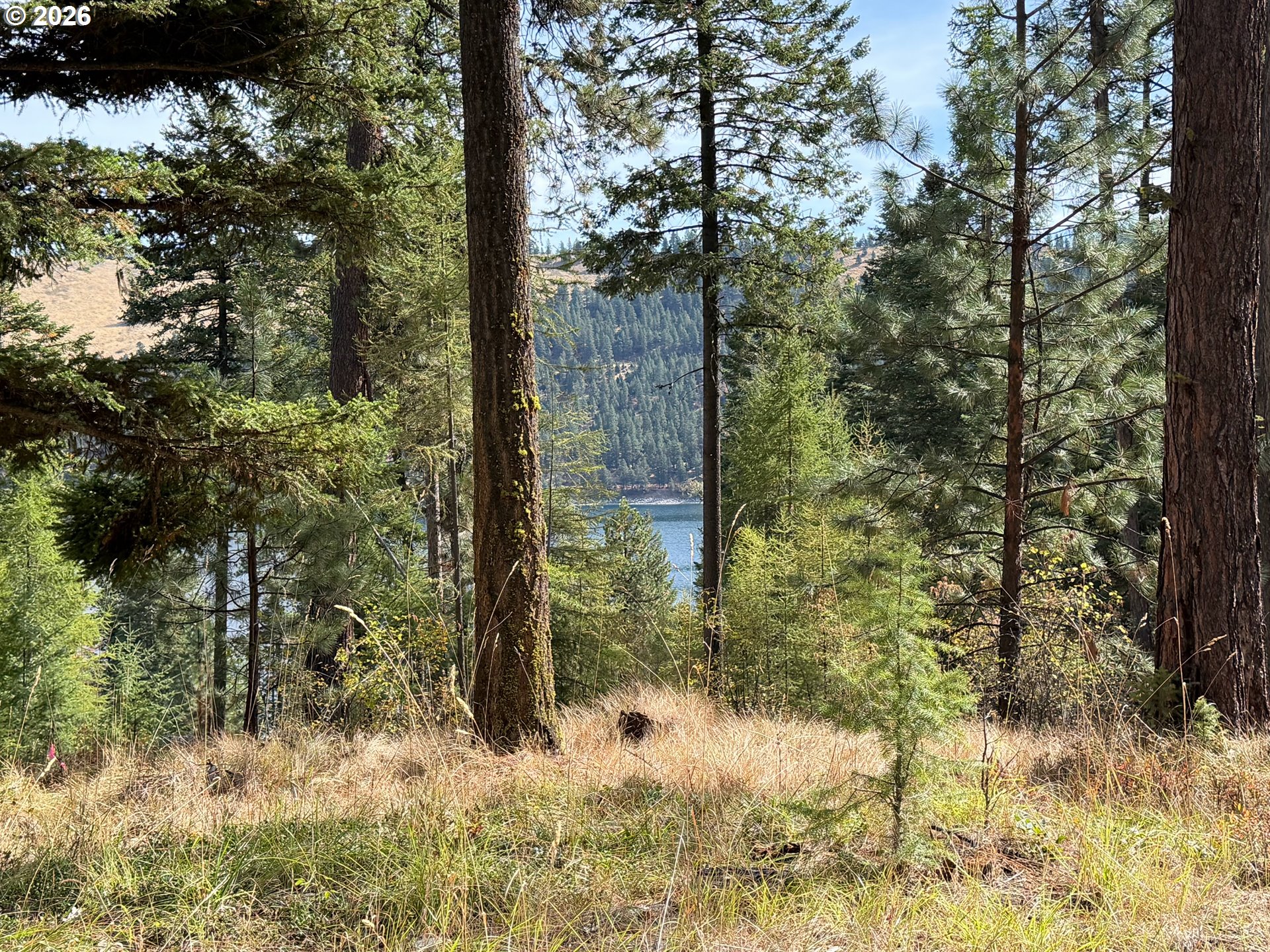 Chipmunk Lane Property Photo 2