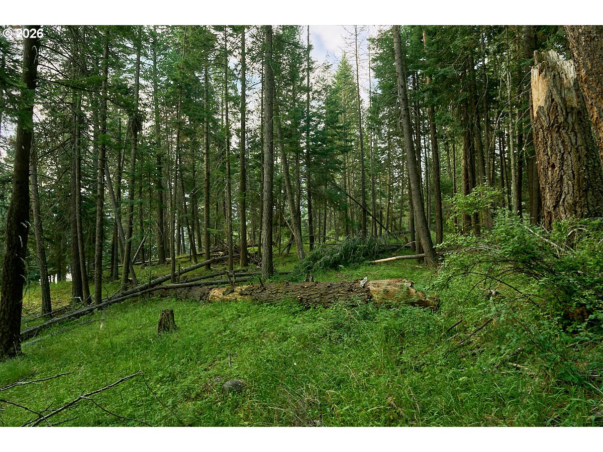 Chipmunk Lane Property Photo 4
