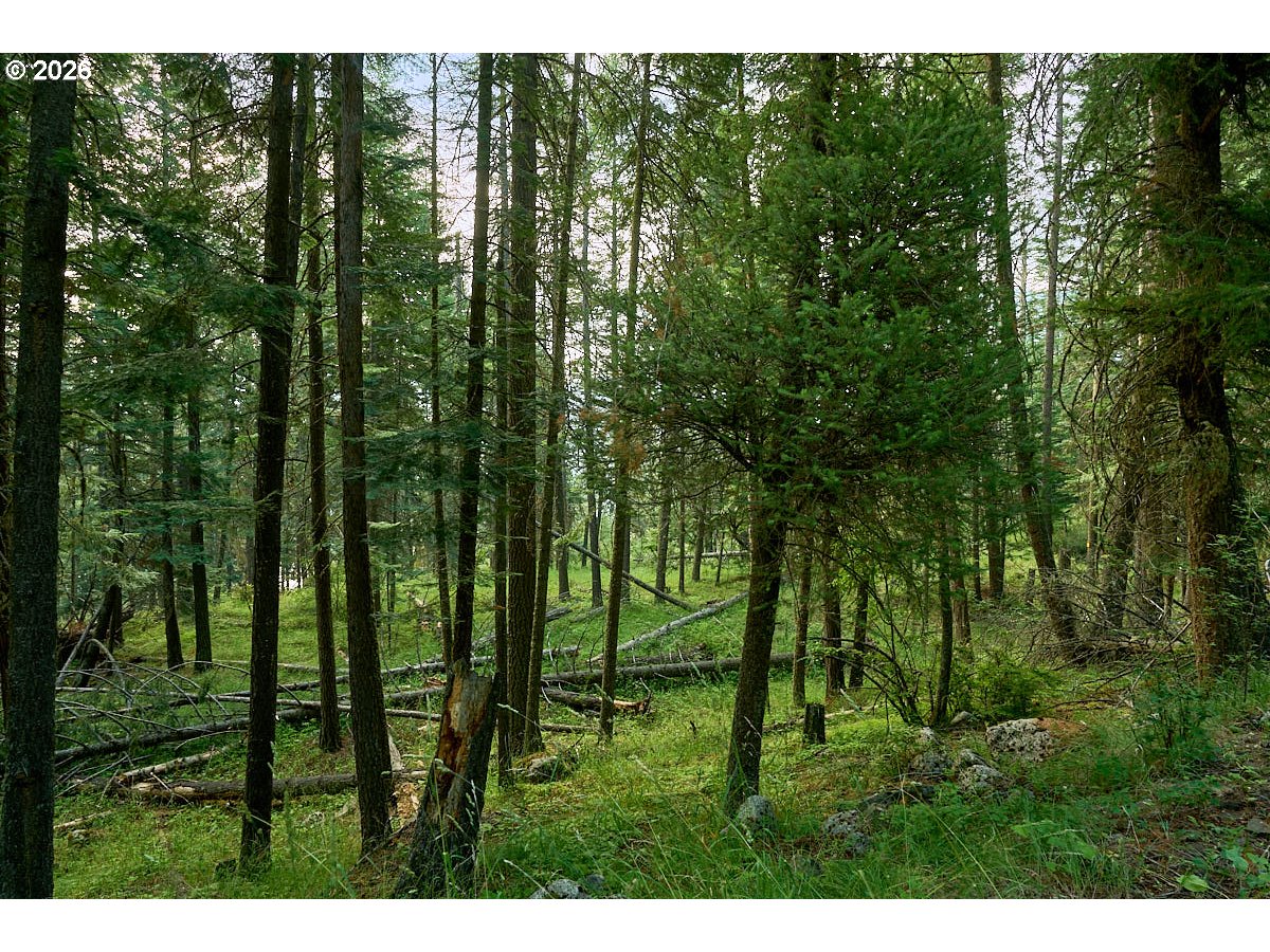 Chipmunk Lane Property Photo 6