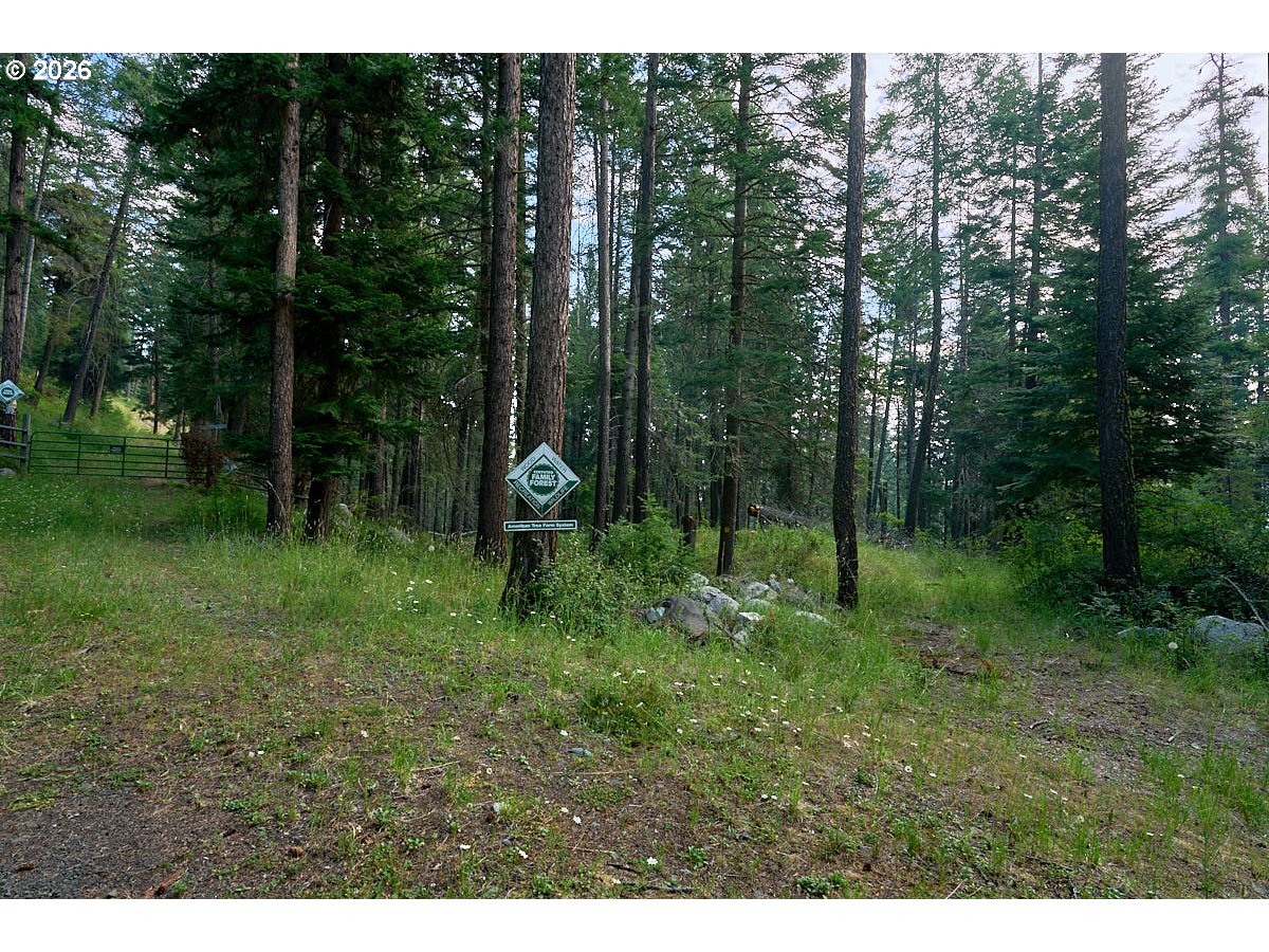 Chipmunk Lane Property Photo 7