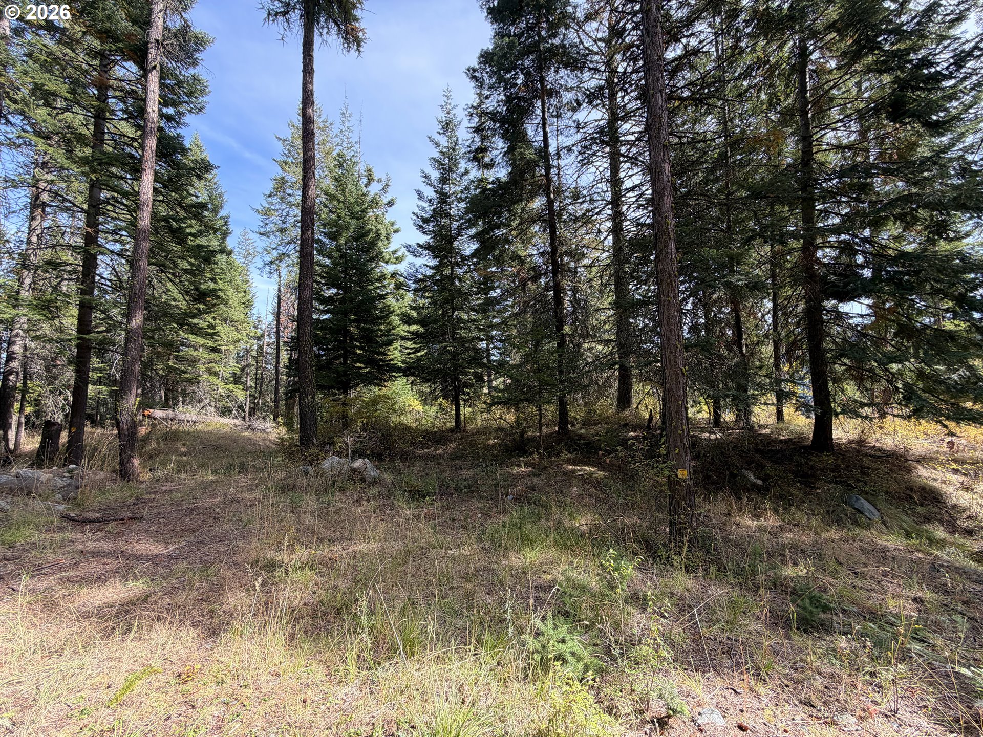 Chipmunk Lane Property Photo 10