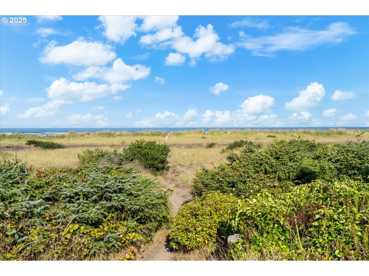 2316 Beach Dr 154 Property Photo 8
