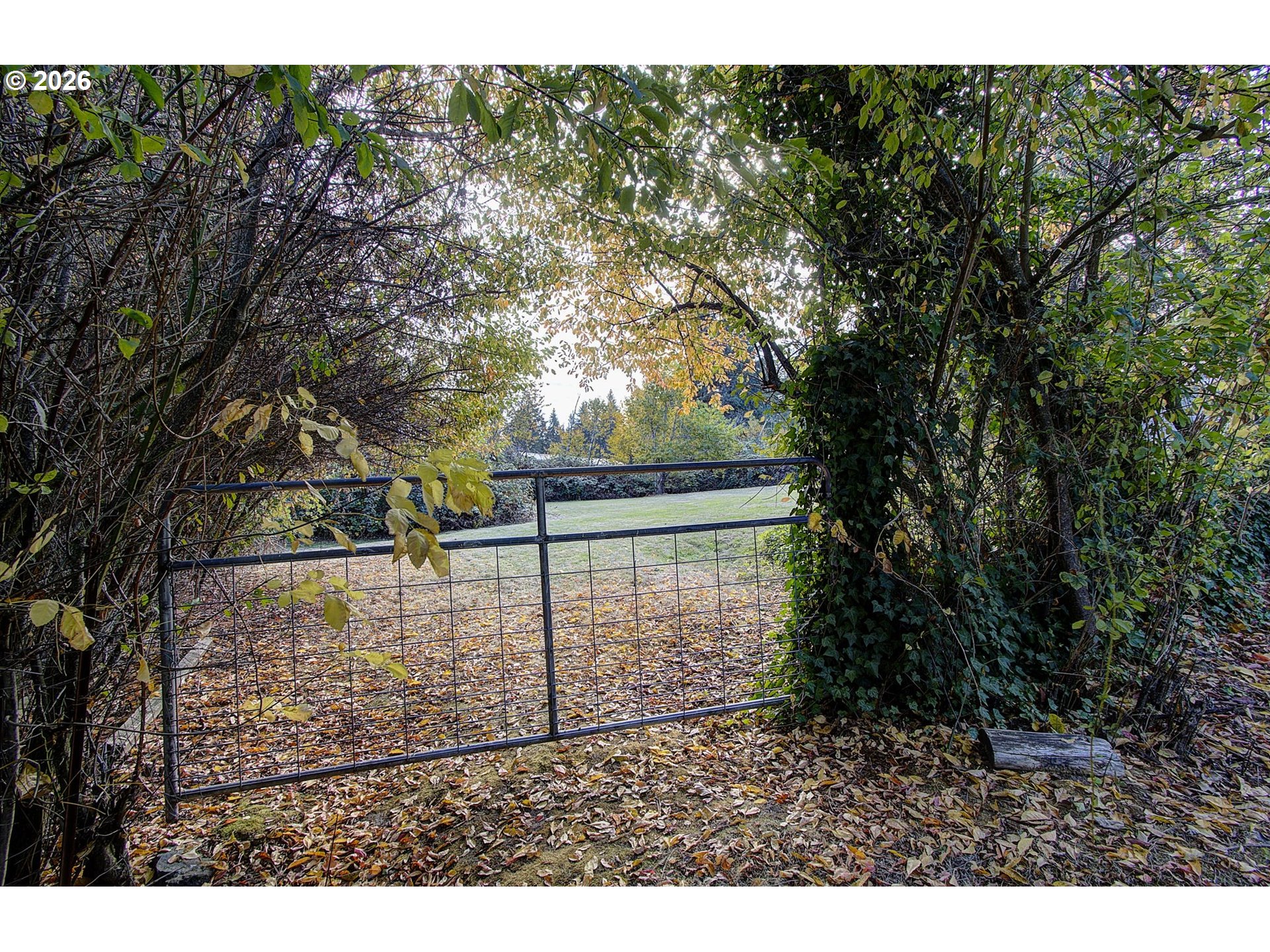 17924 S Forsythe Rd Property Photo 22
