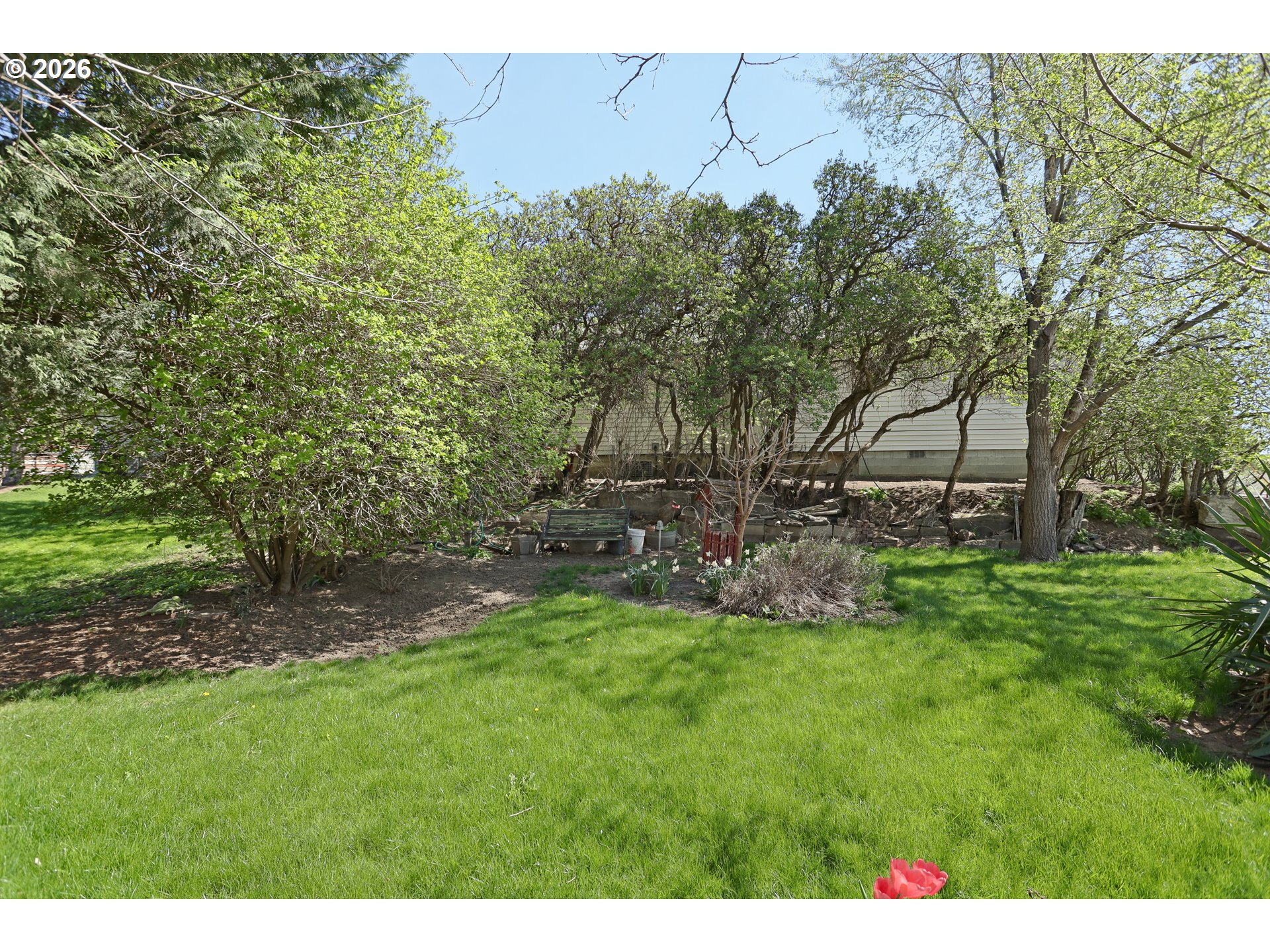 1116 Mcpherson St Property Photo 42