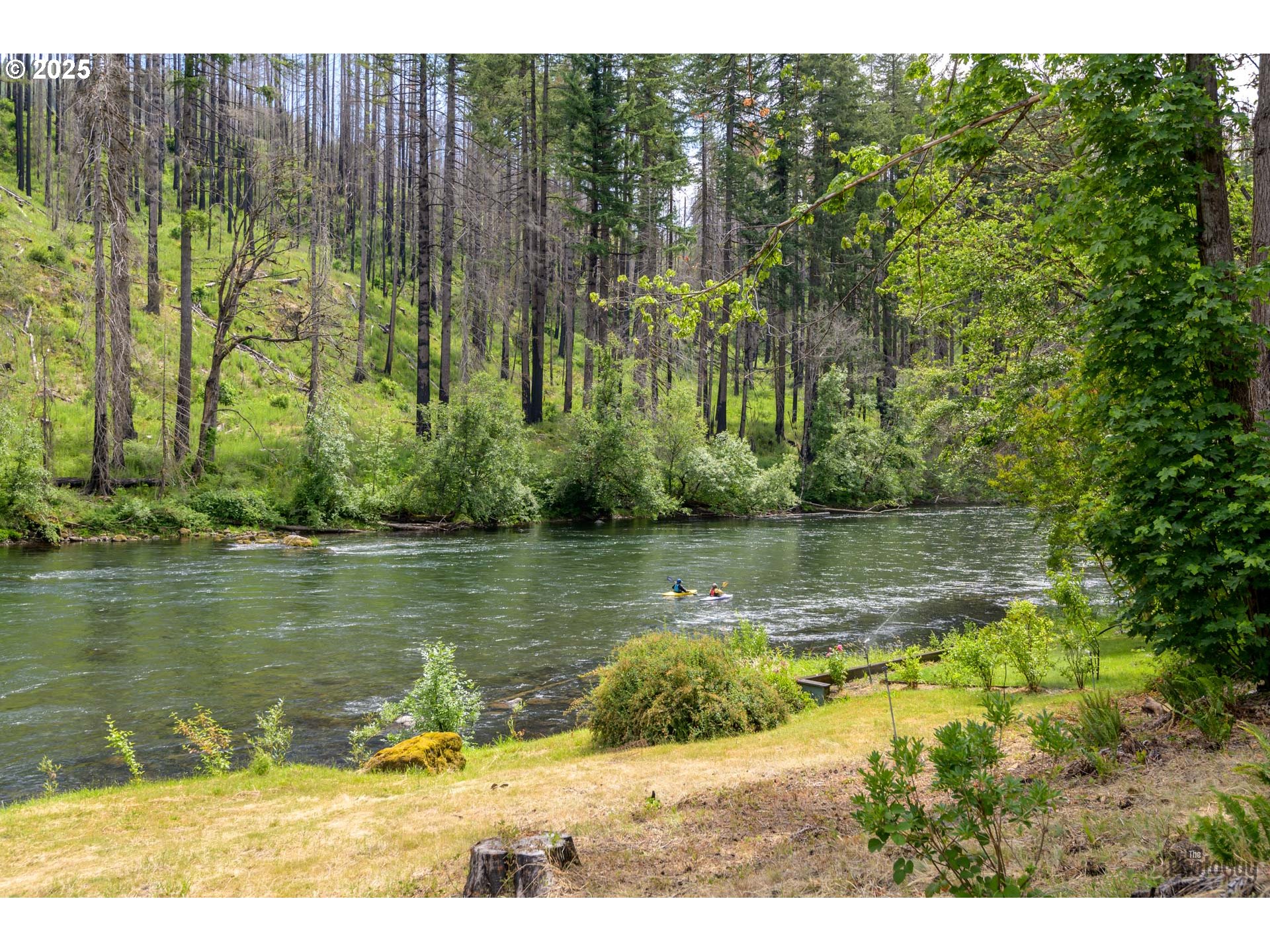 47664 Mckenzie Hwy Property Photo 1