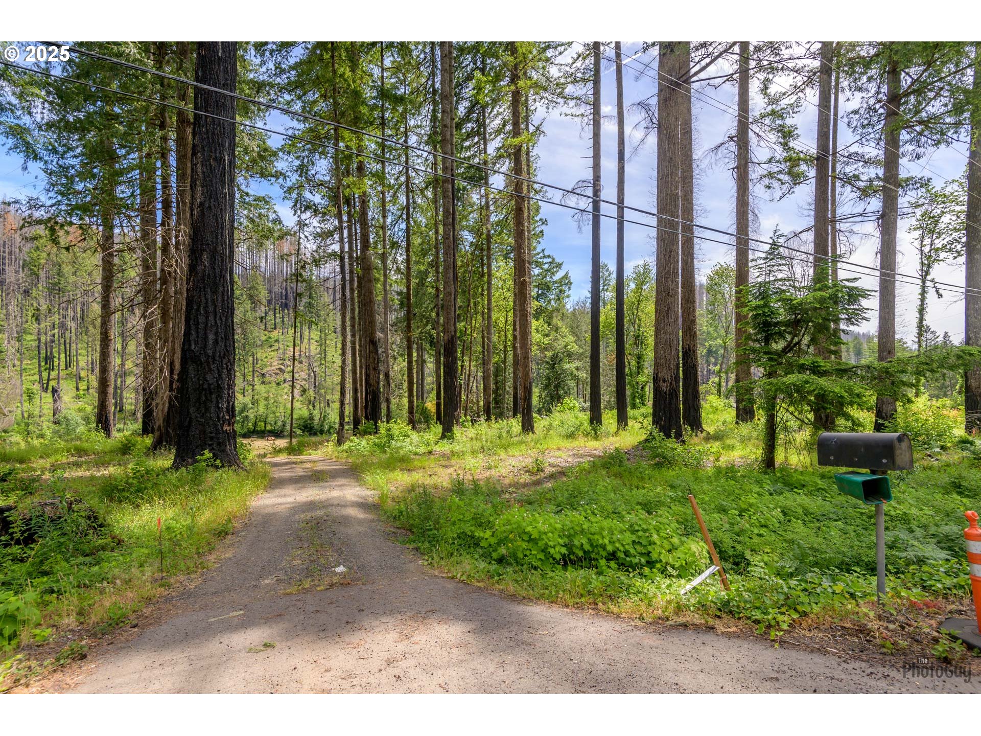 47664 Mckenzie Hwy Property Photo 5