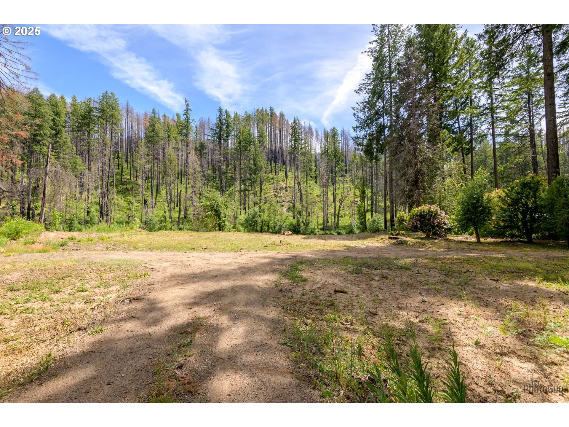 47664 Mckenzie Hwy Property Photo 8