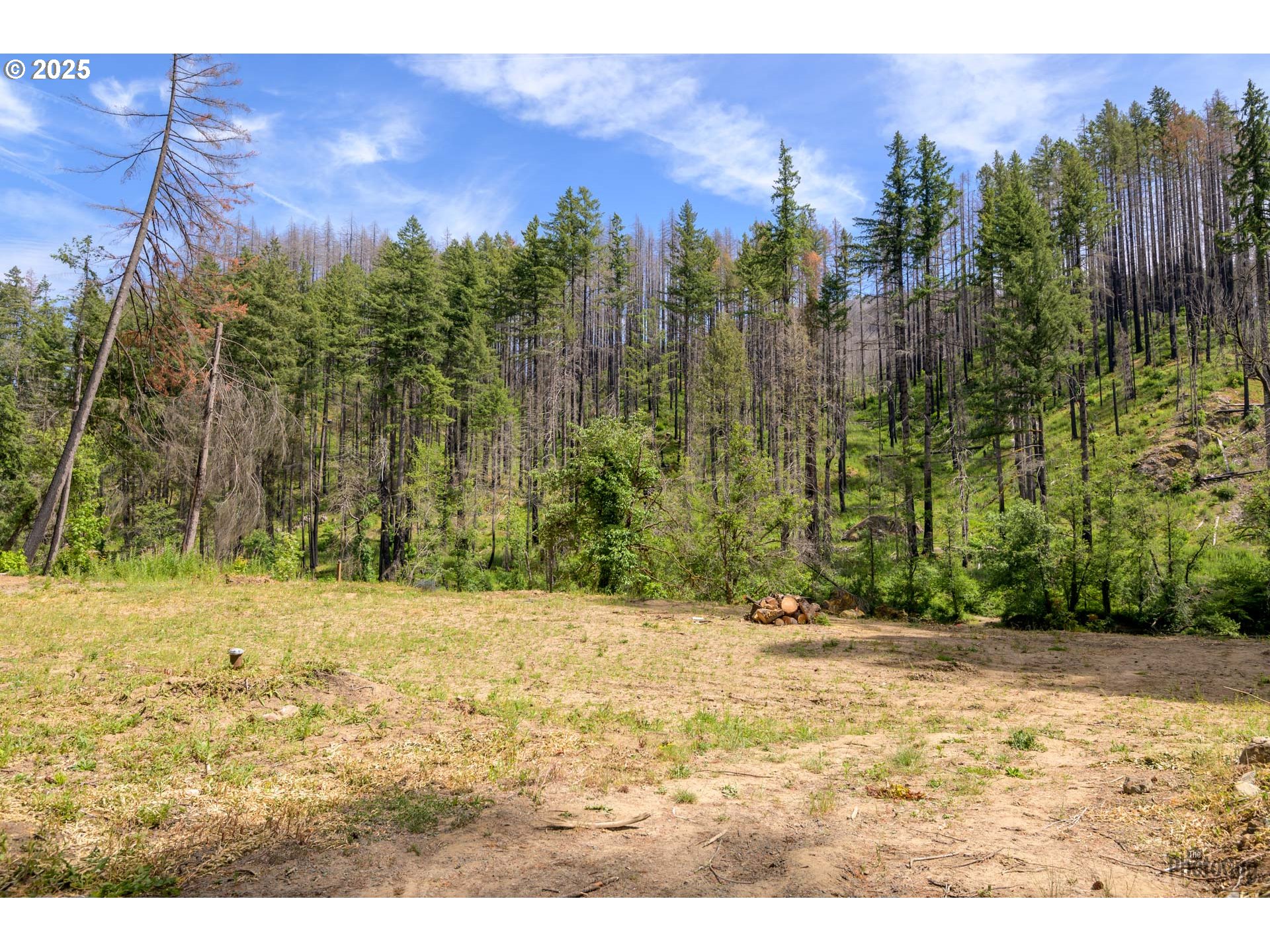 47664 Mckenzie Hwy Property Photo 9