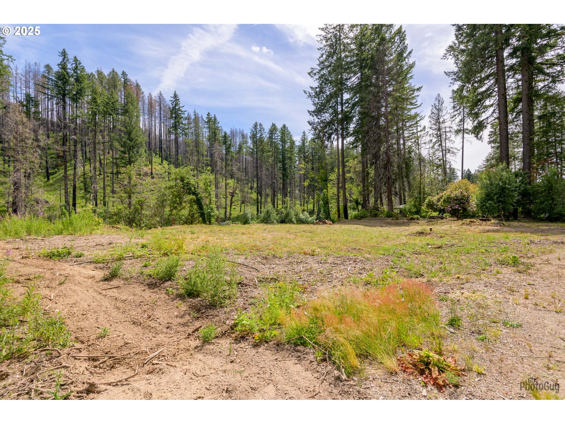 47664 Mckenzie Hwy Property Photo 10
