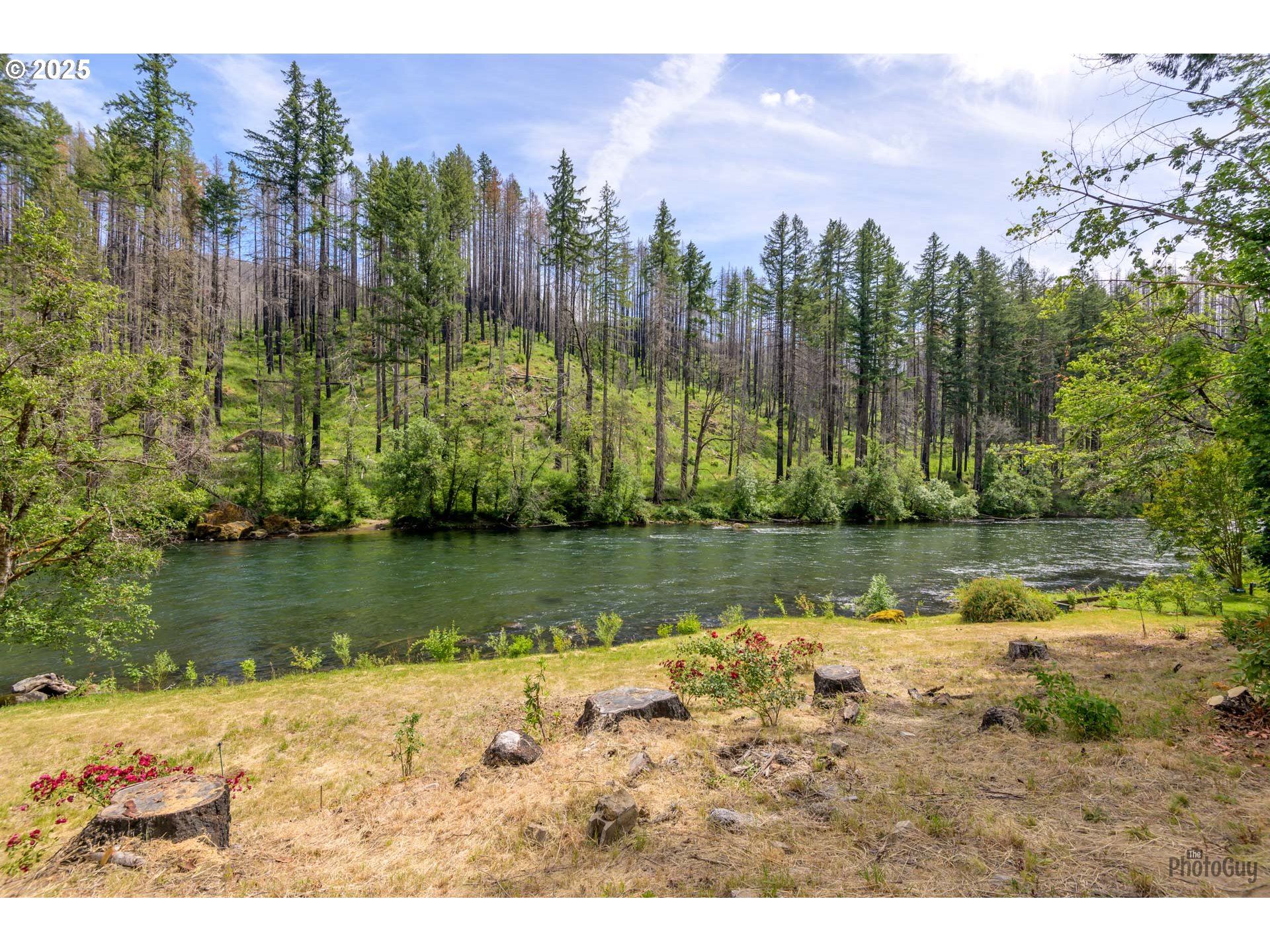 47664 Mckenzie Hwy Property Photo 11