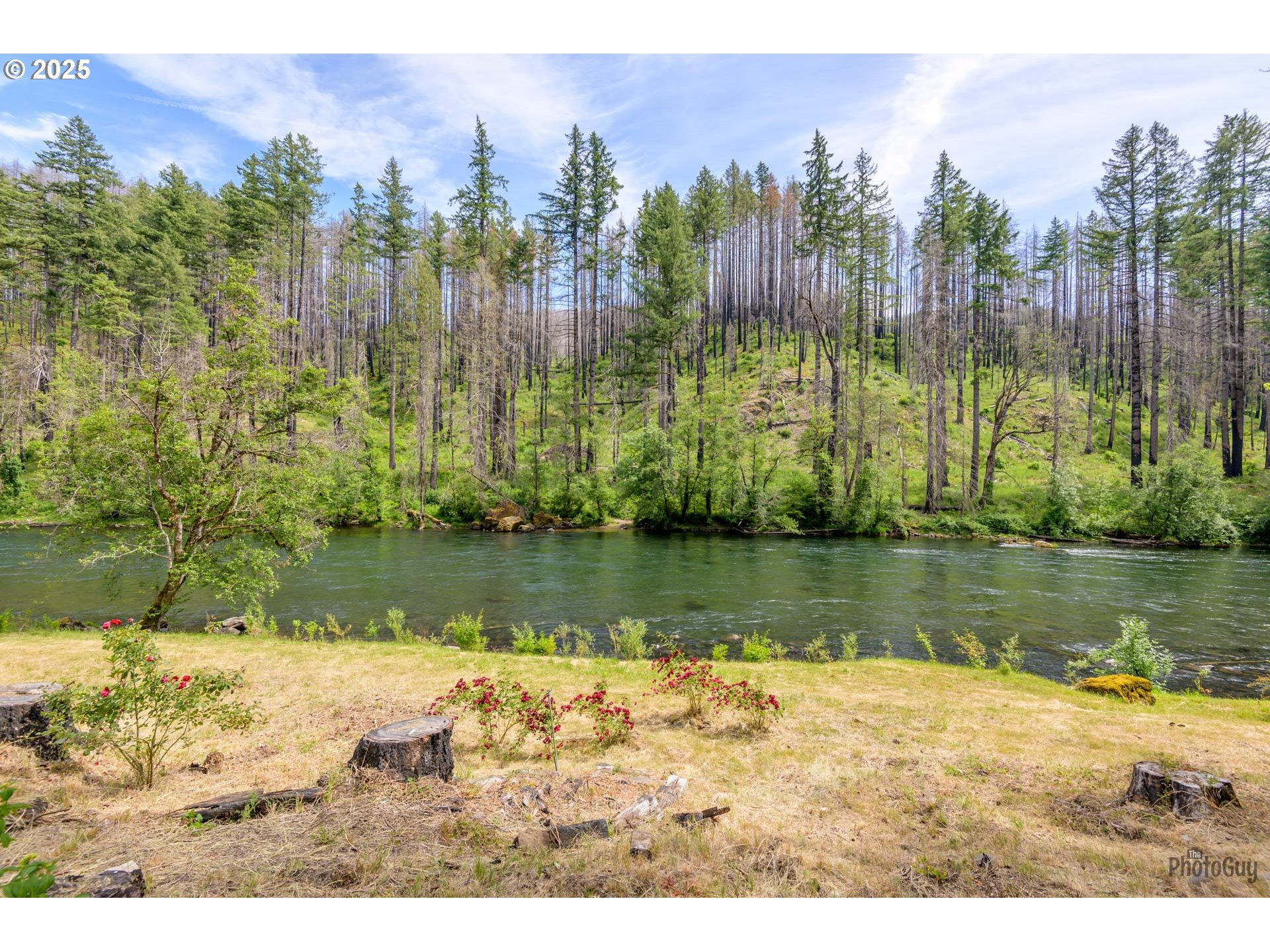 47664 Mckenzie Hwy Property Photo 14