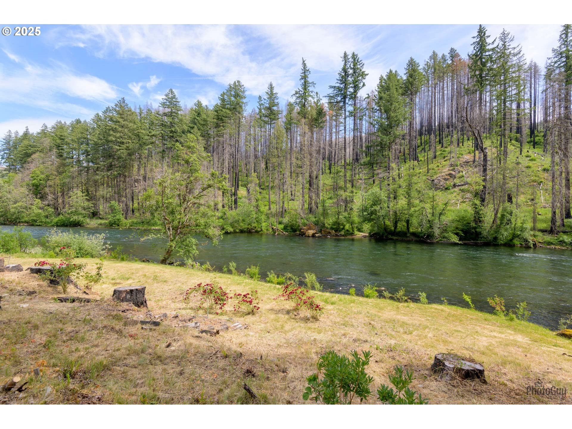 47664 Mckenzie Hwy Property Photo 15