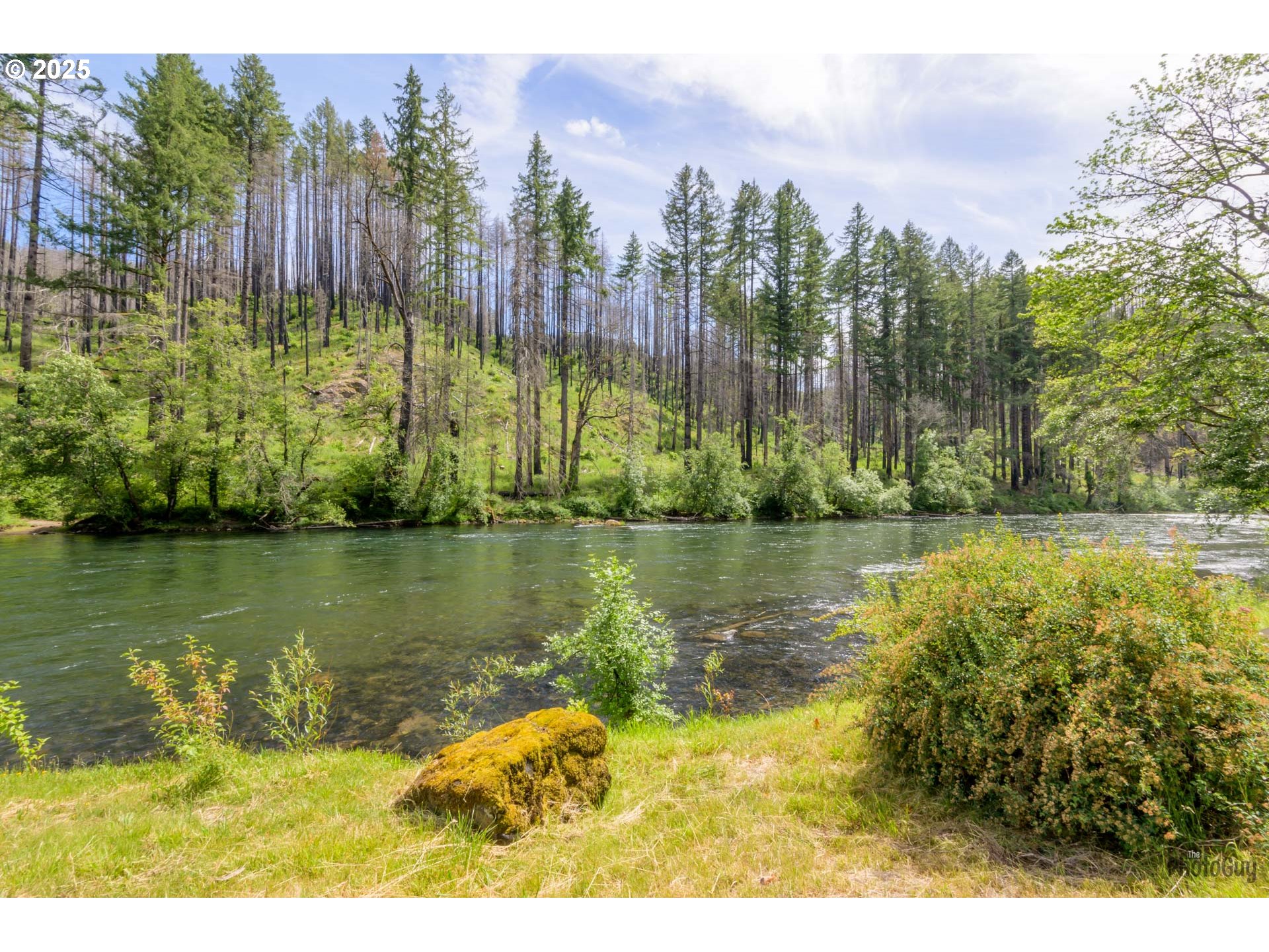 47664 Mckenzie Hwy Property Photo 16