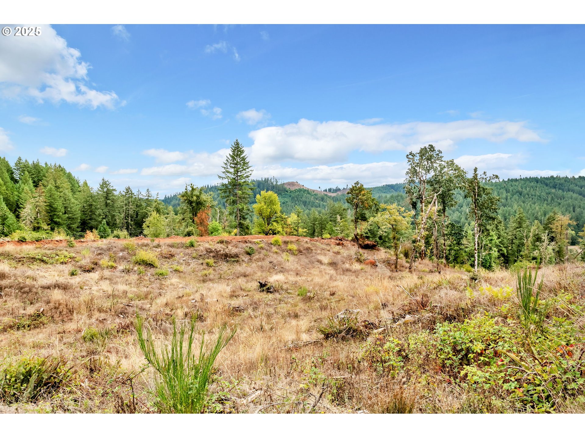 00 Sutherlin Ln Property Photo 25
