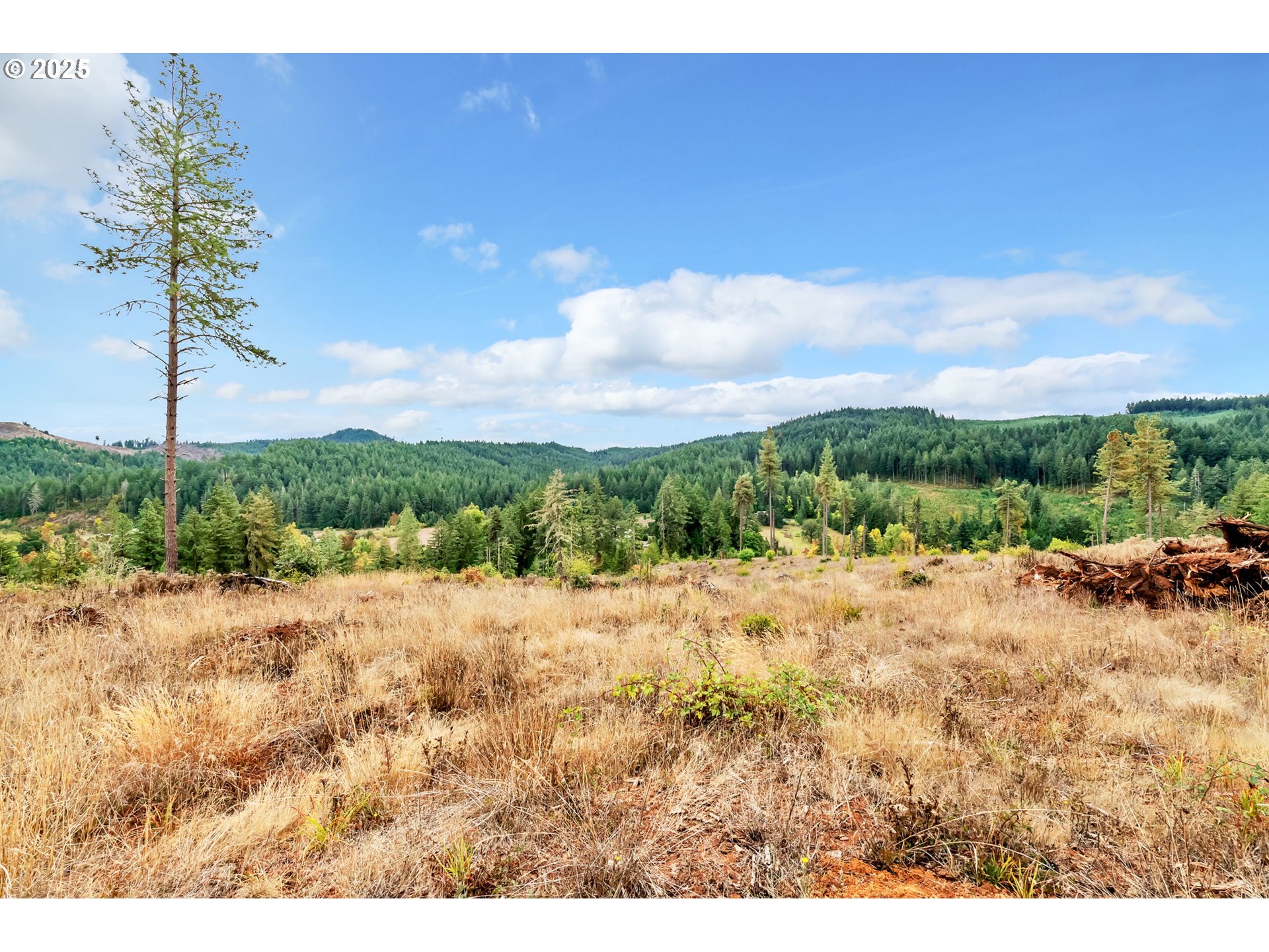 00 Sutherlin Ln Property Photo 29