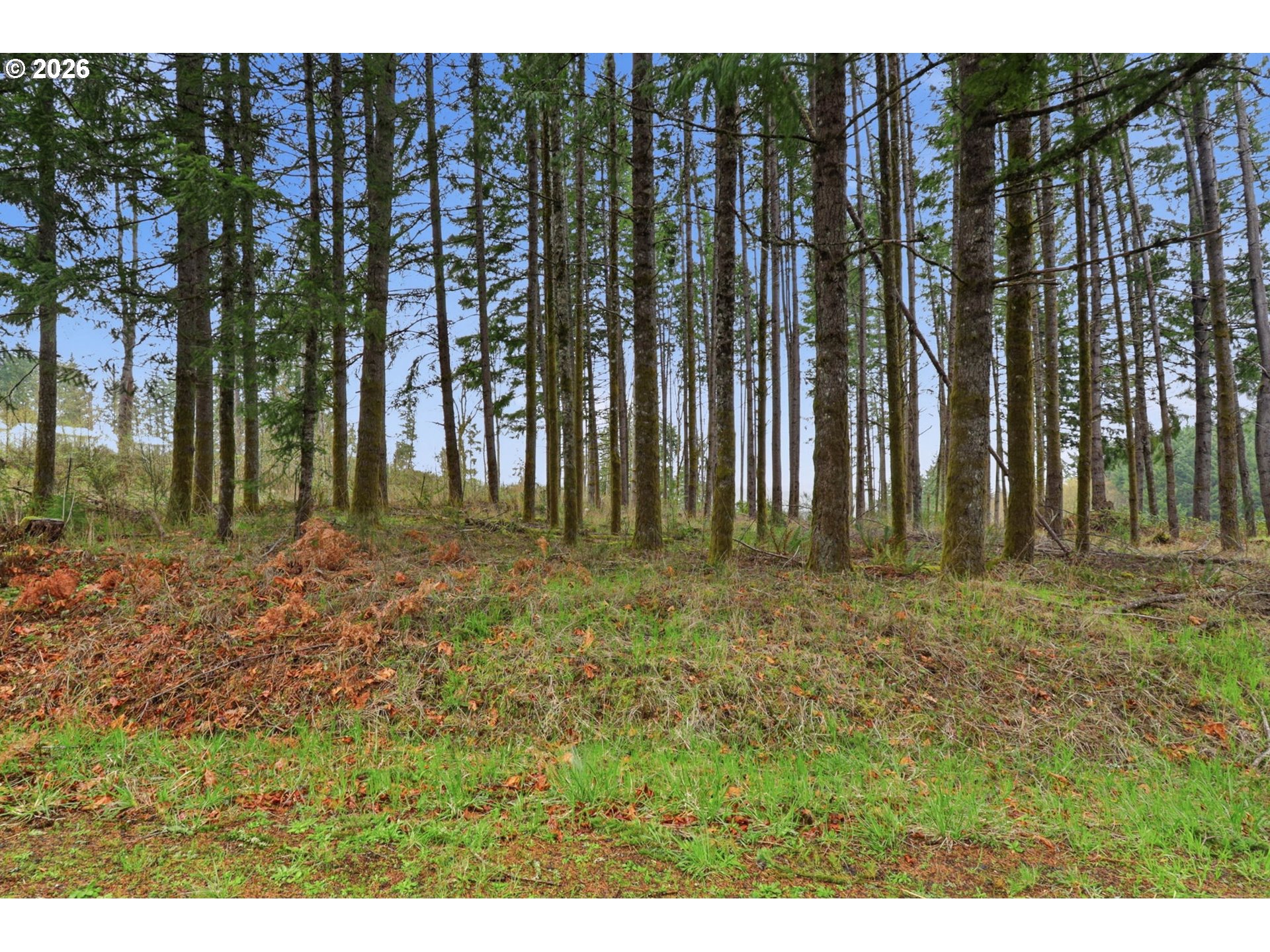 Nw Pumpkin Ridge Rd Property Photo 1