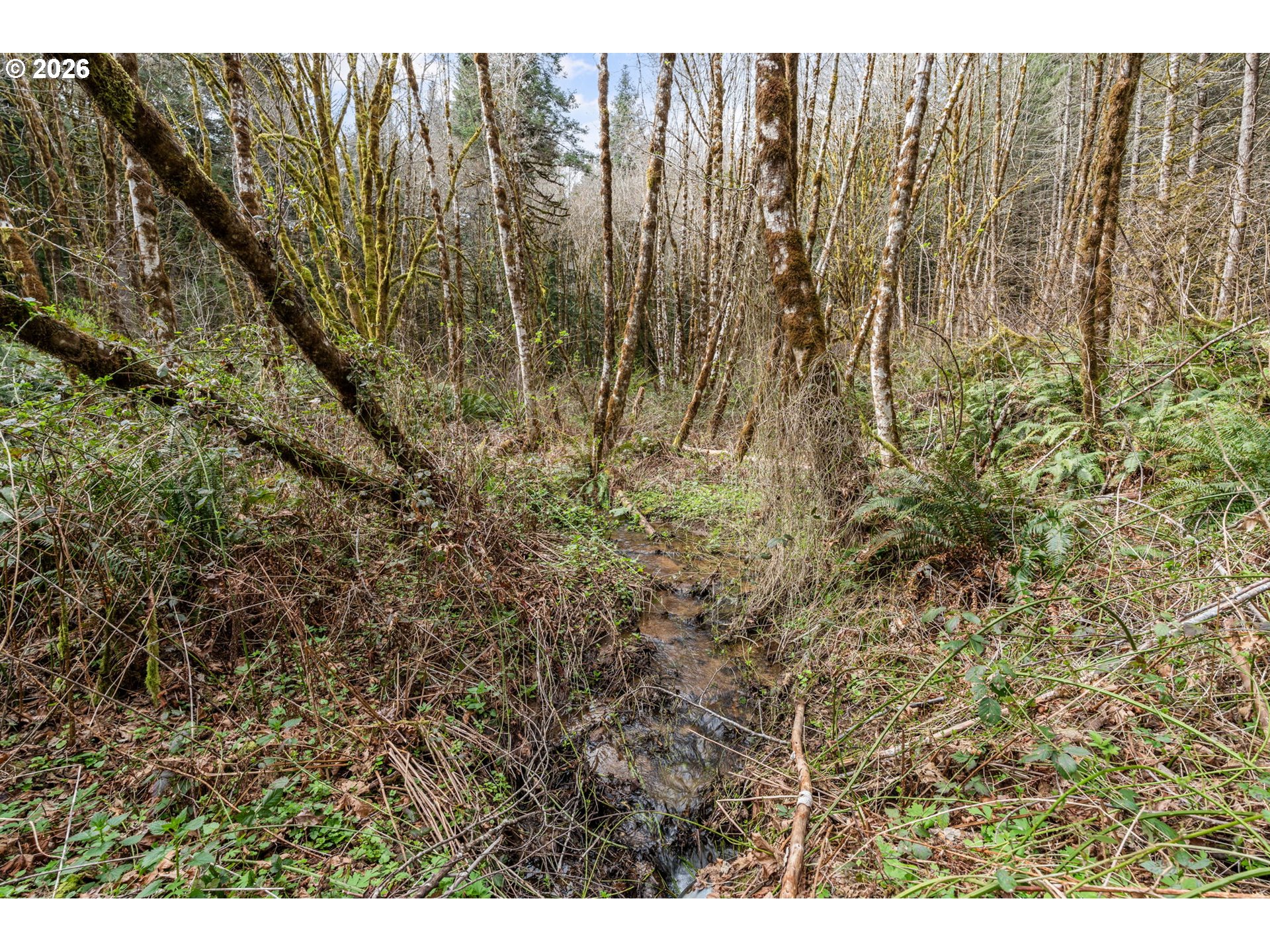 22994 Redoak Ln Property Photo 10