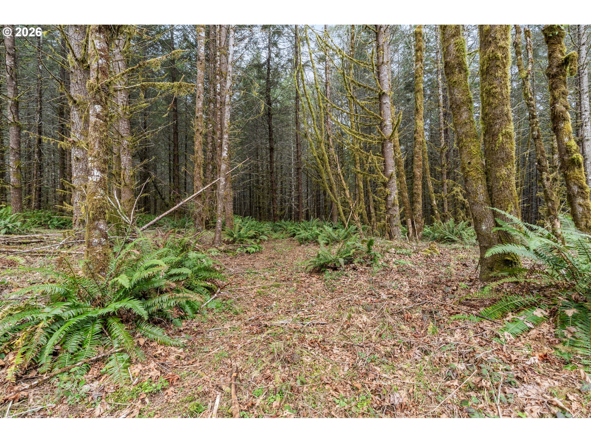 22994 Redoak Ln Property Photo 12