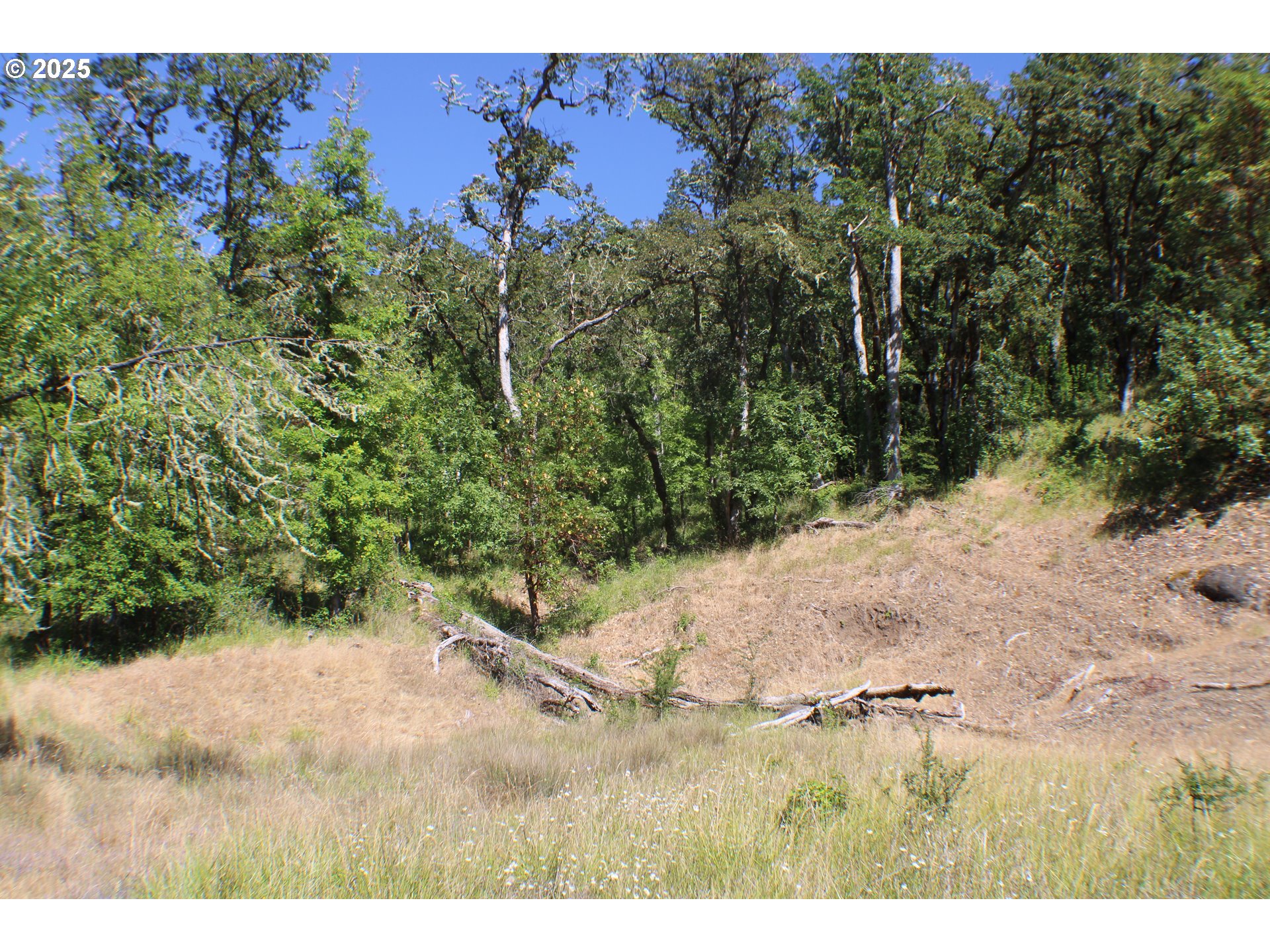 0 Sierra Dr Property Photo 1