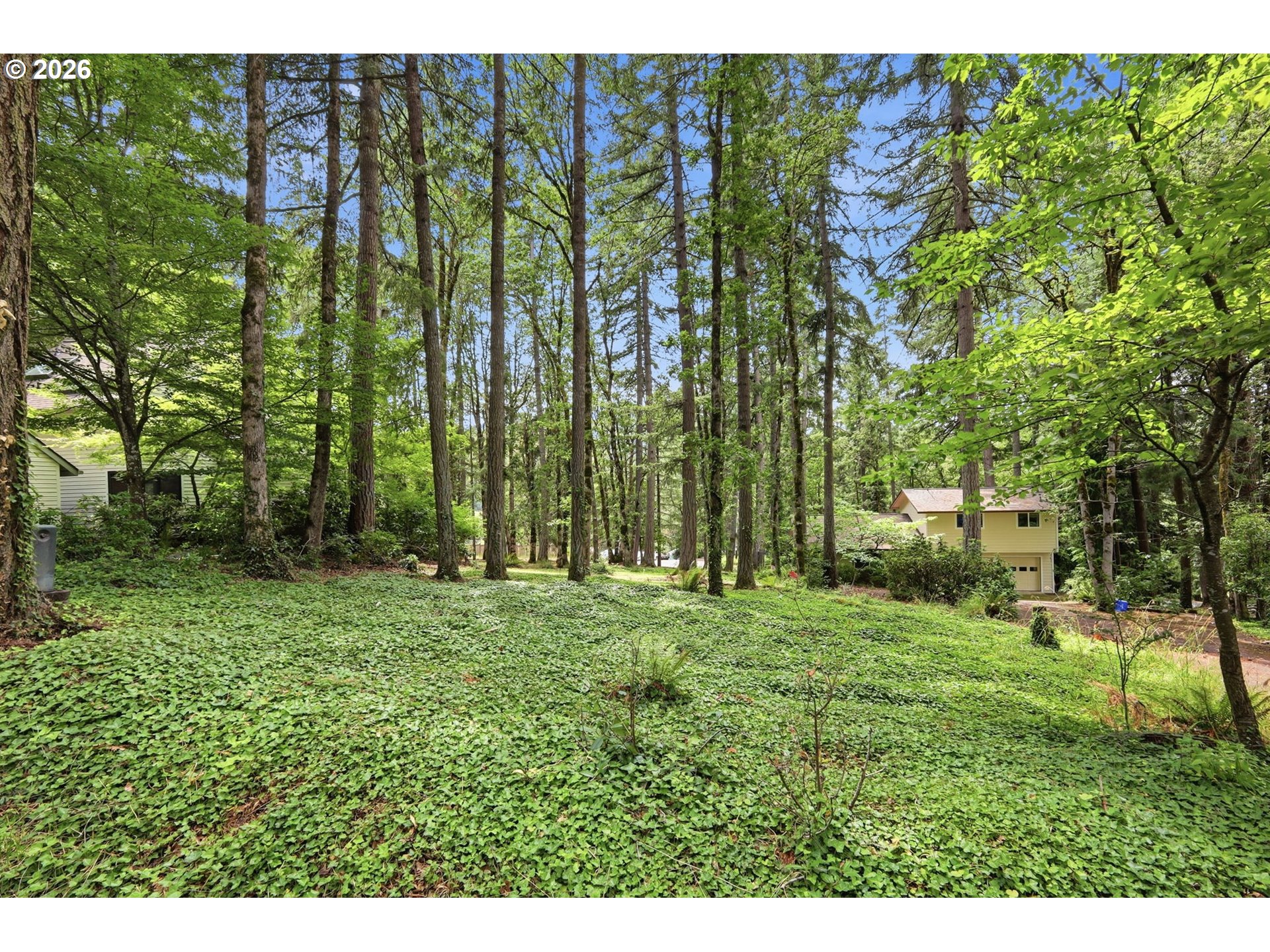 Old Dillard Rd Property Photo 2