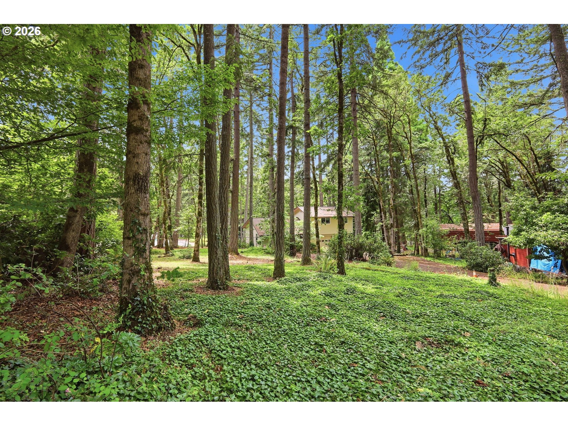 Old Dillard Rd Property Photo 5