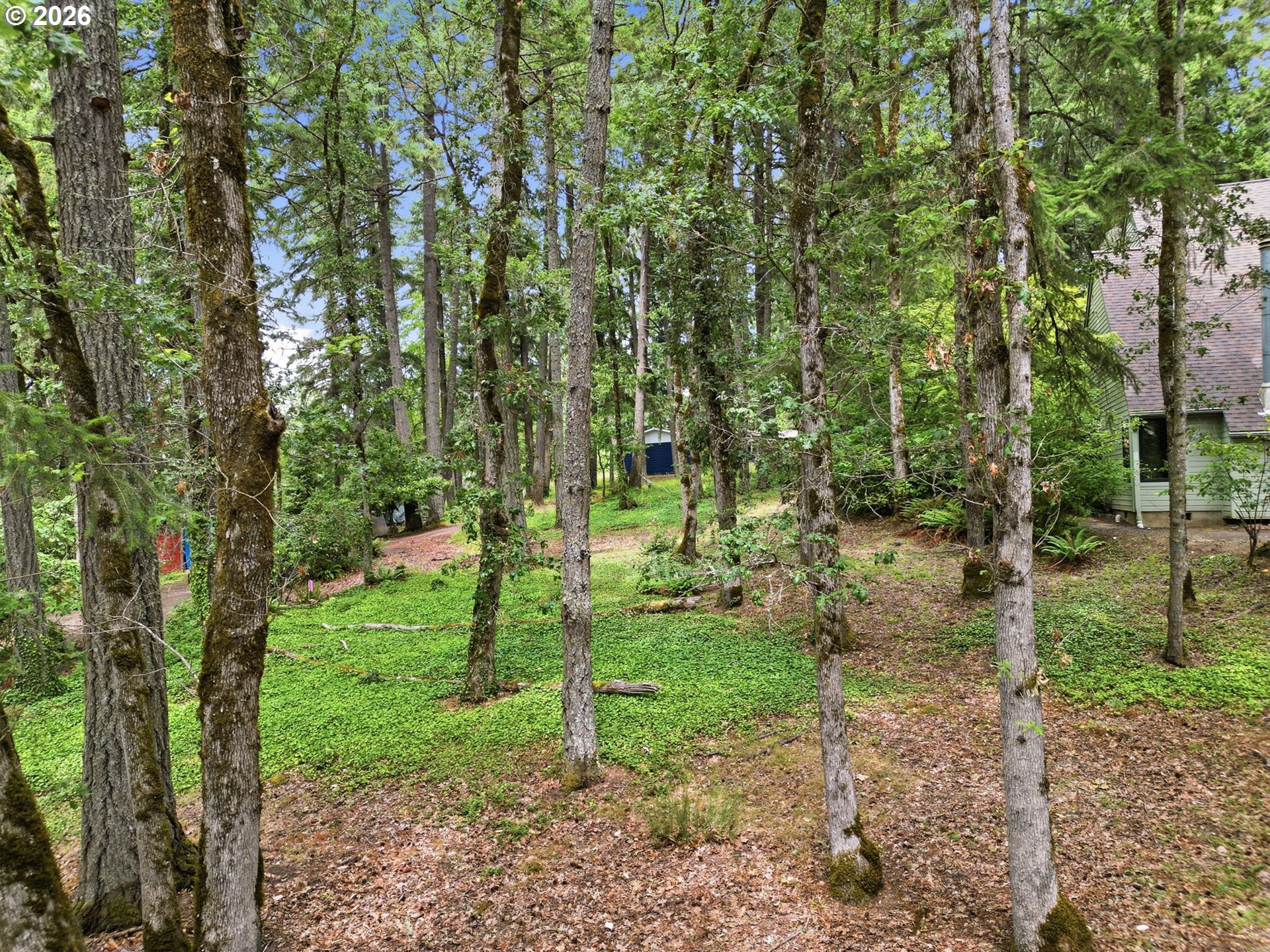 Old Dillard Rd Property Photo 6