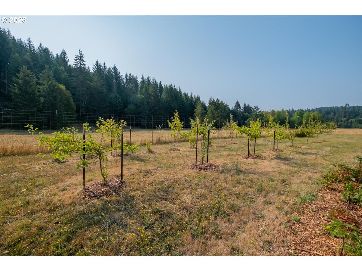 36435 Devitt Rd Property Photo 24
