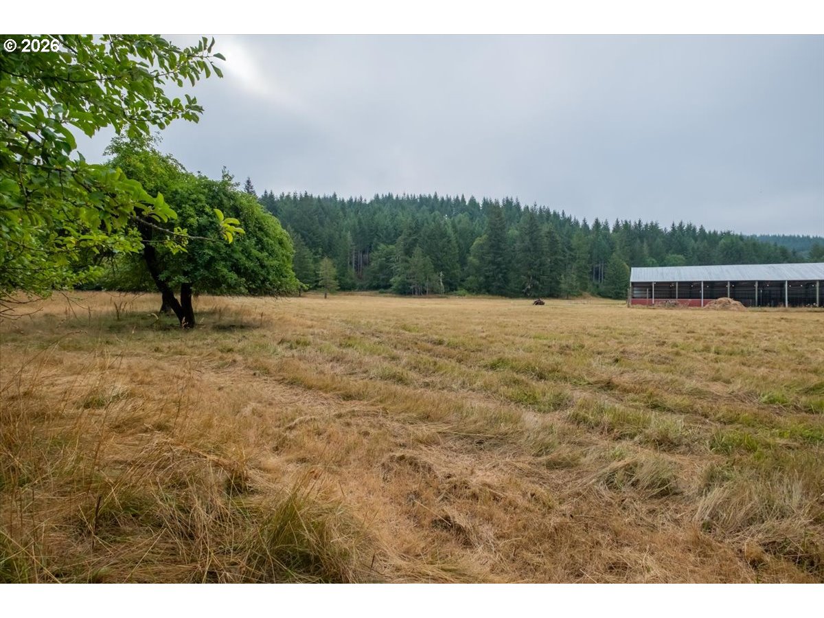36435 Devitt Rd Property Photo 41