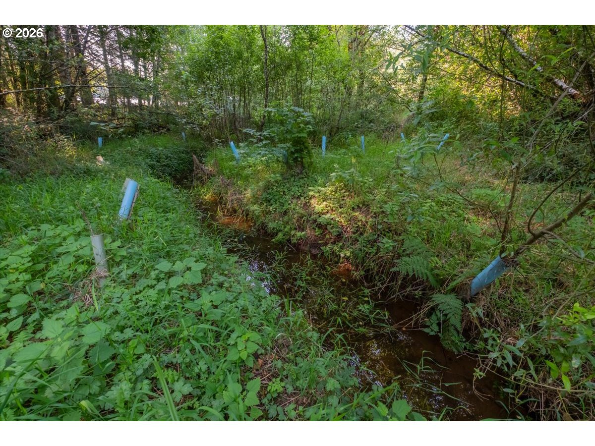 36435 Devitt Rd Property Photo 44