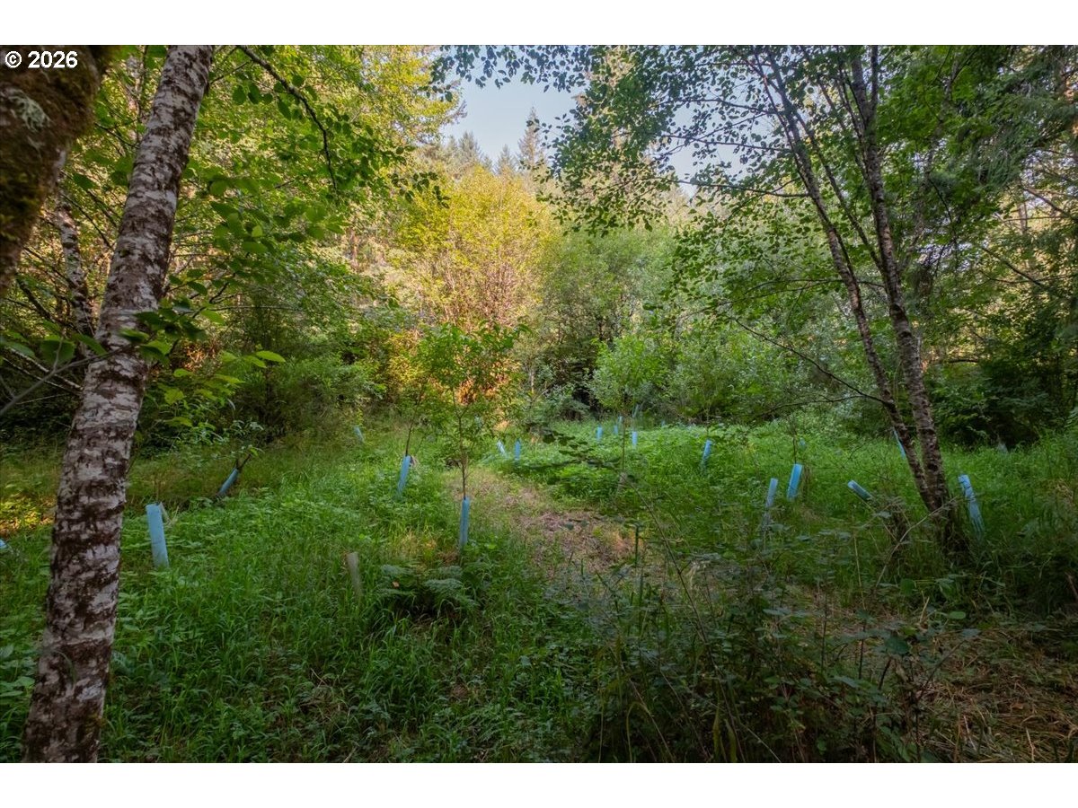36435 Devitt Rd Property Photo 45
