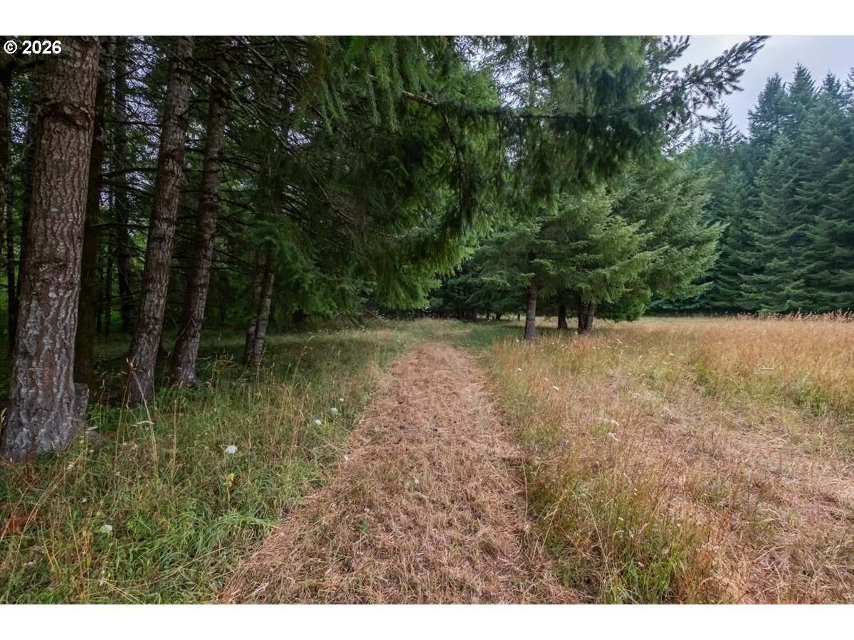 36435 Devitt Rd Property Photo 46