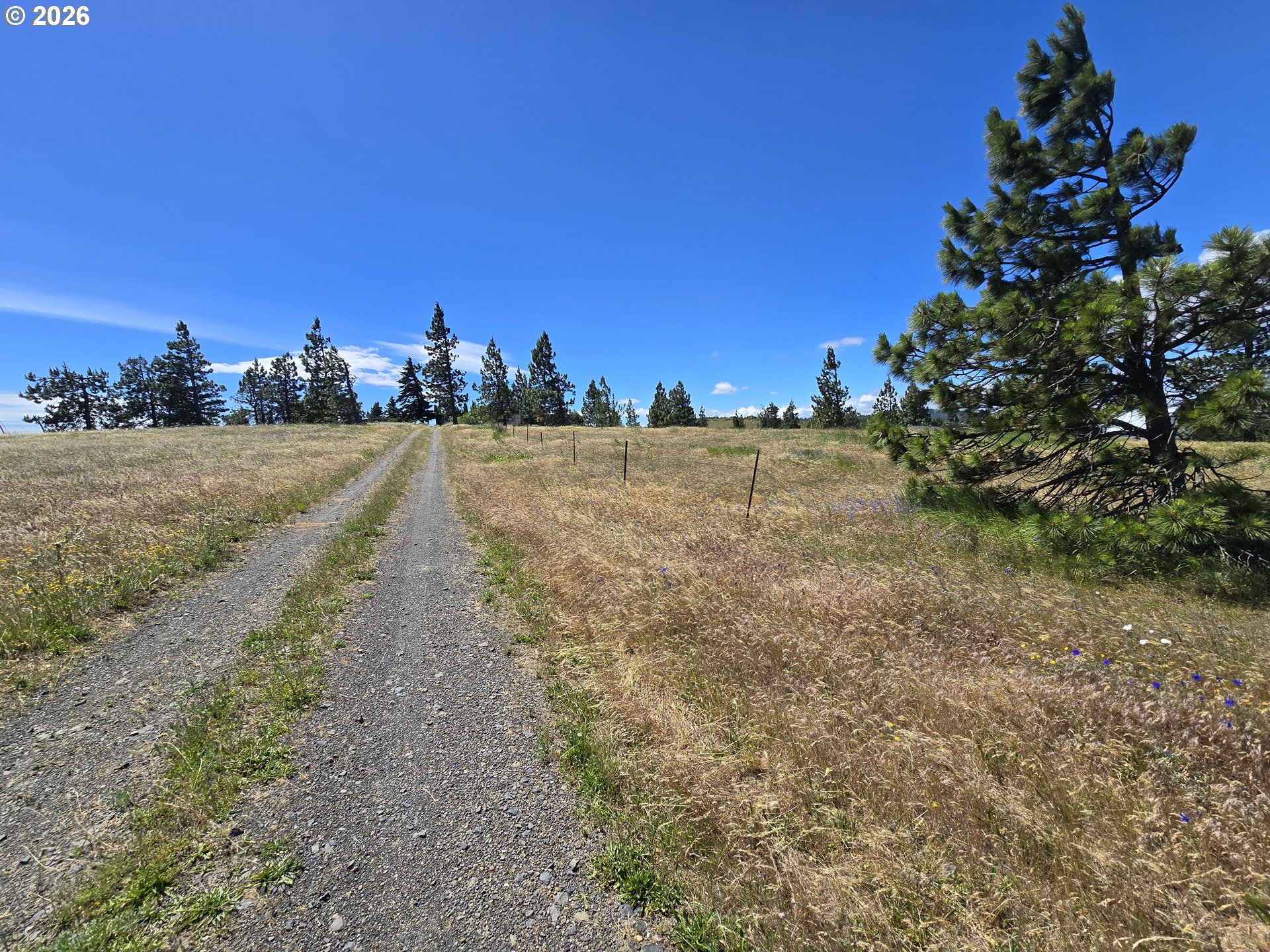 2080 Mountain View Dr Property Photo 9