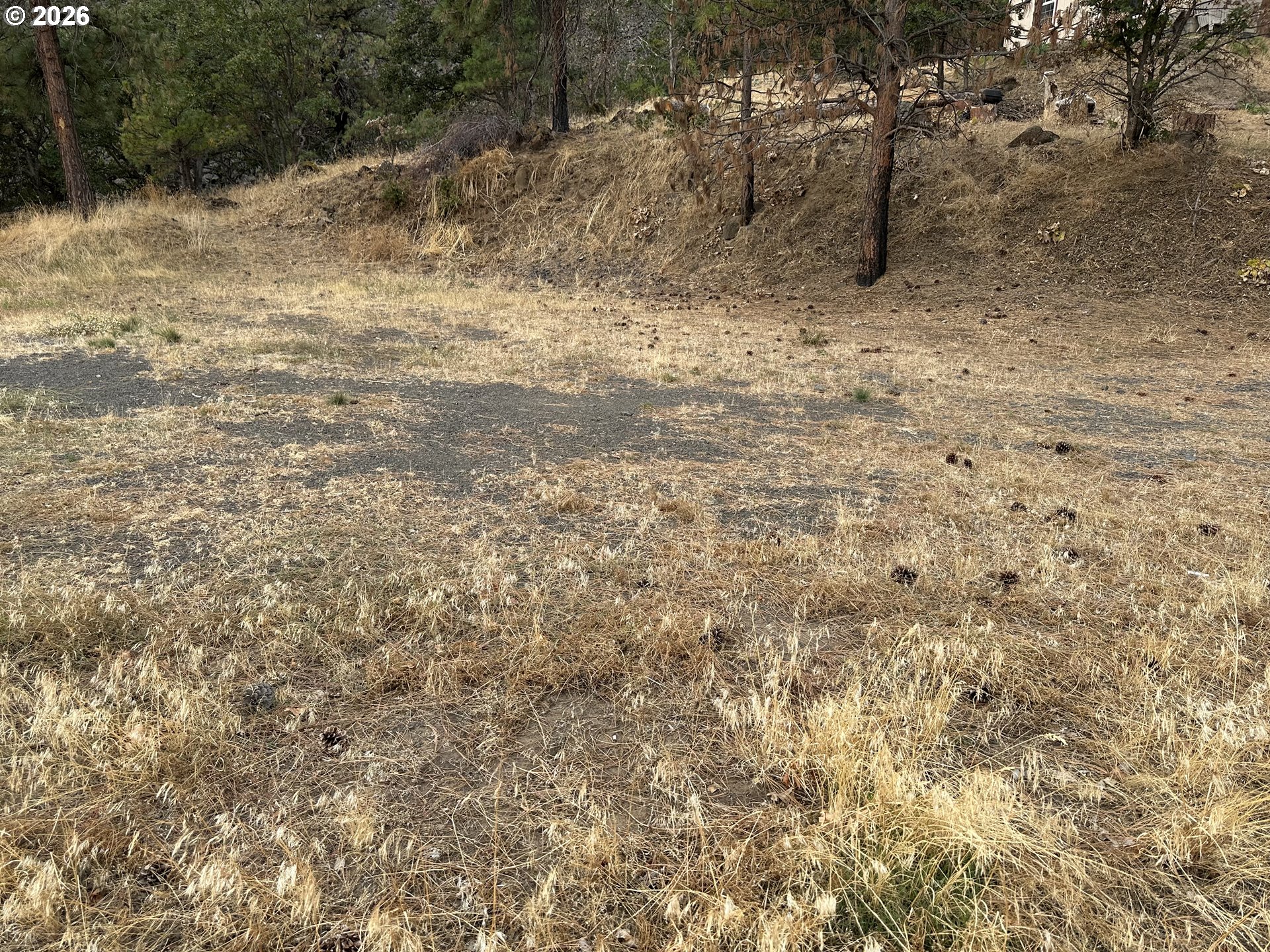 4541 Basalt St Property Photo 2