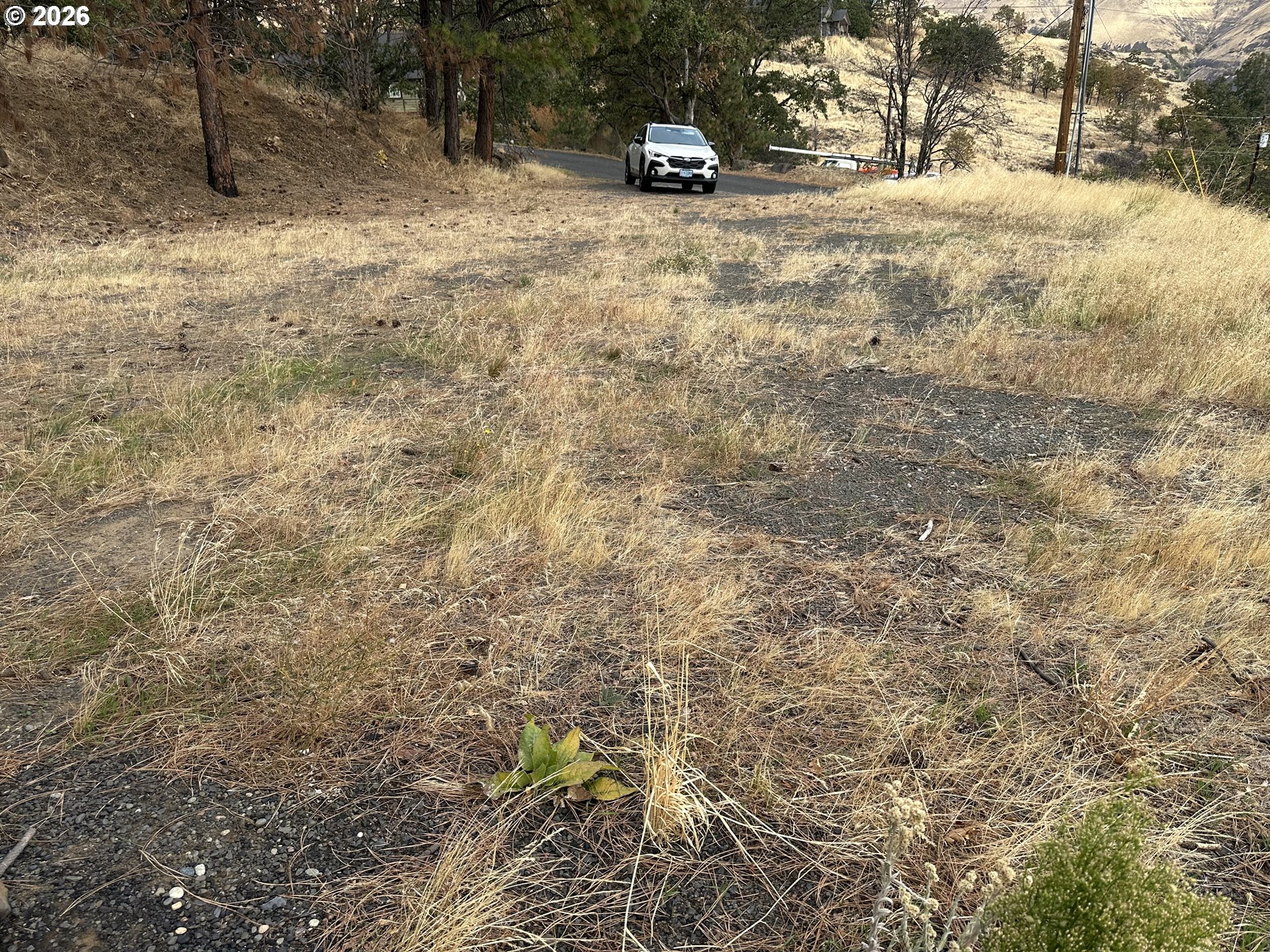 4541 Basalt St Property Photo 3