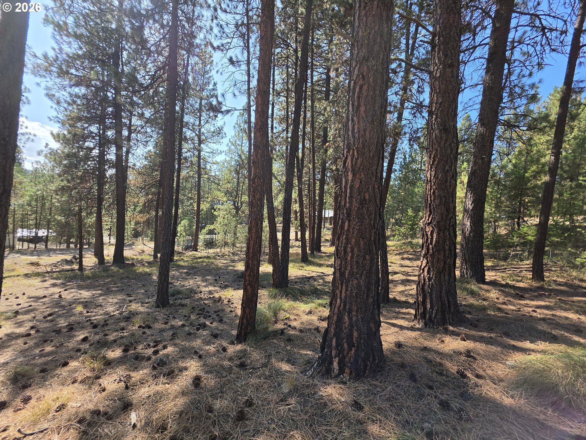 Dewey Property Photo 7