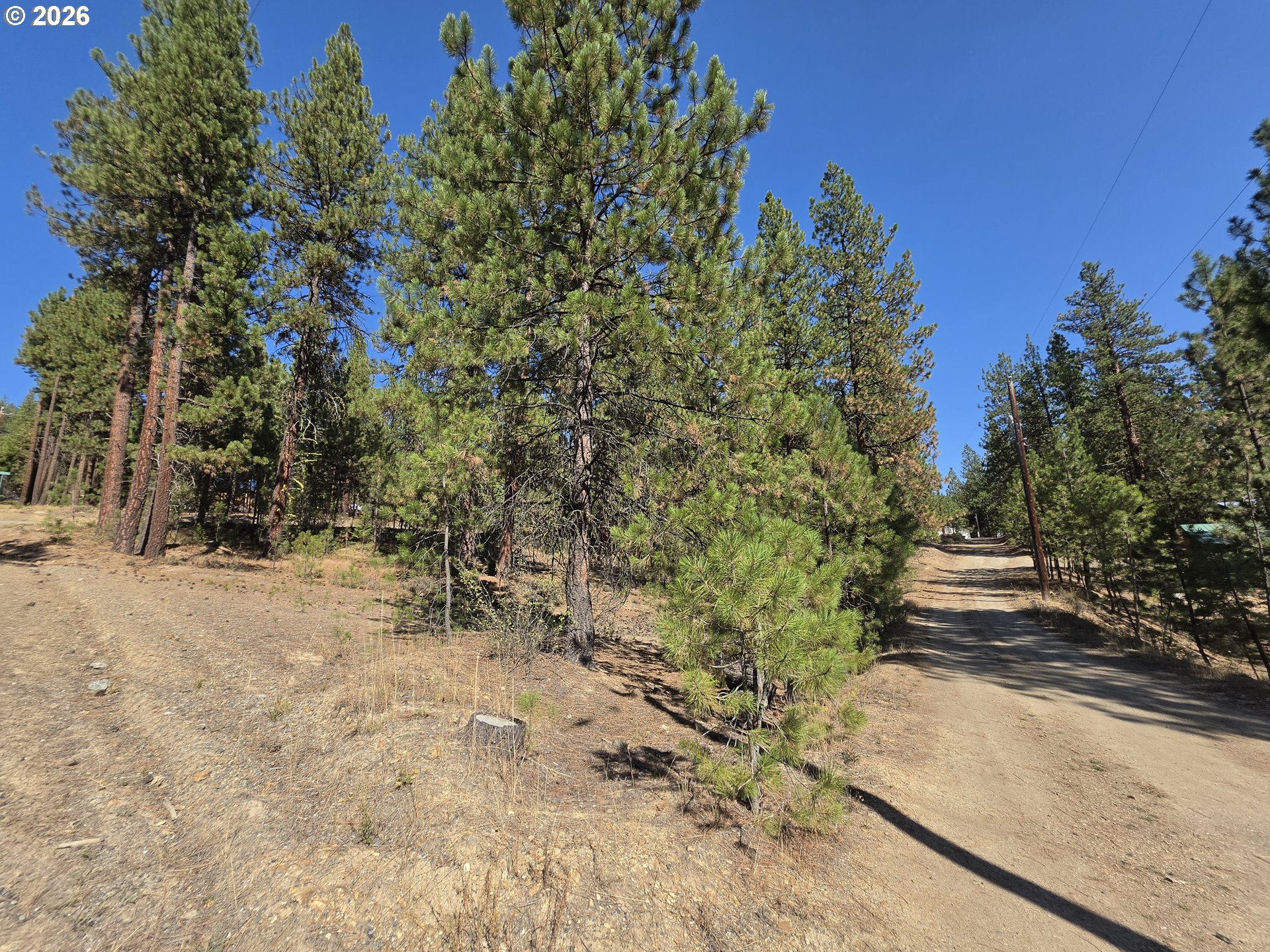 Dewey Property Photo 8