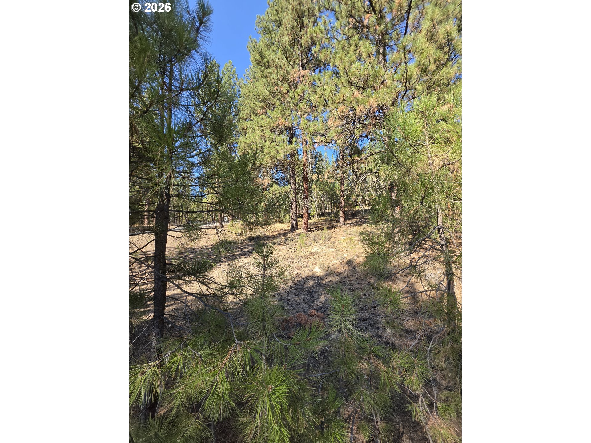 Dewey Property Photo 9