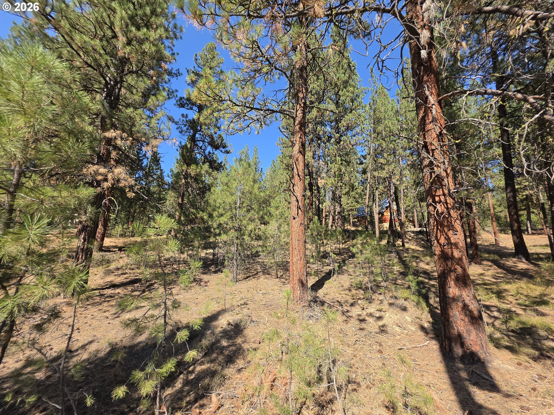 Dewey Property Photo 10