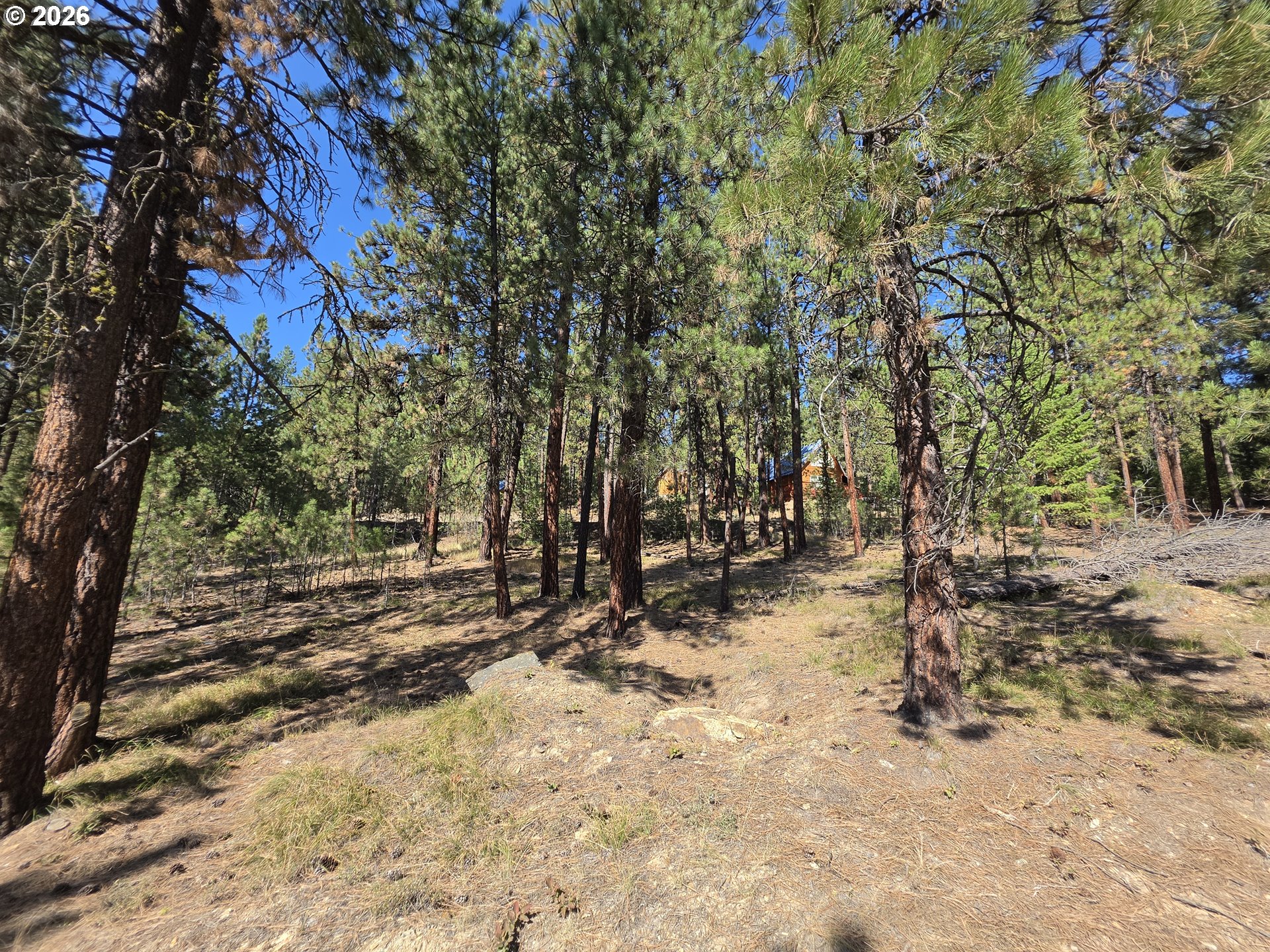 Dewey Property Photo 11
