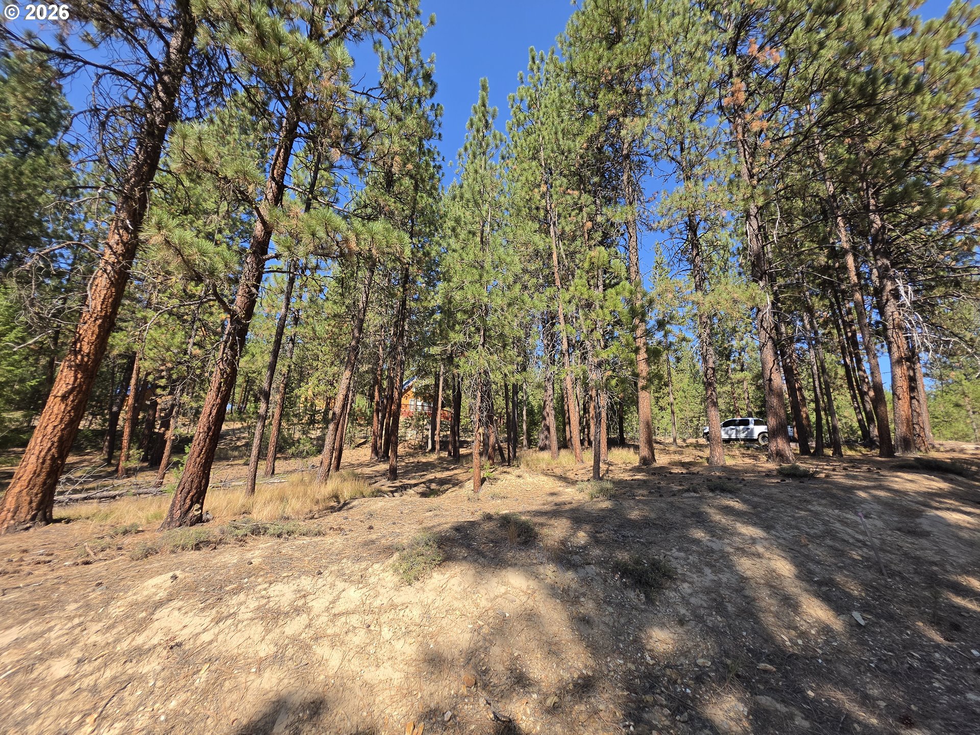 Dewey Property Photo 12