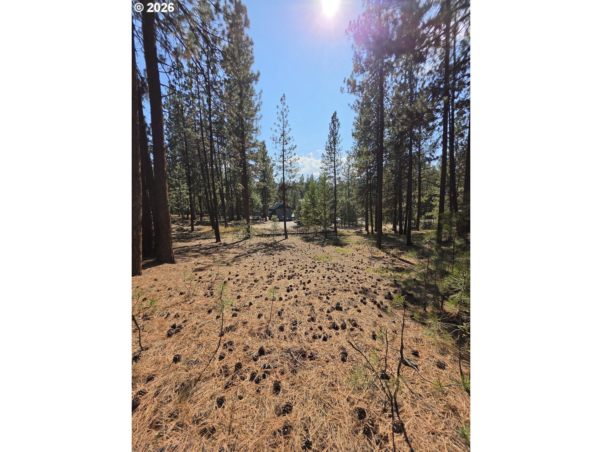 Dewey Property Photo 15