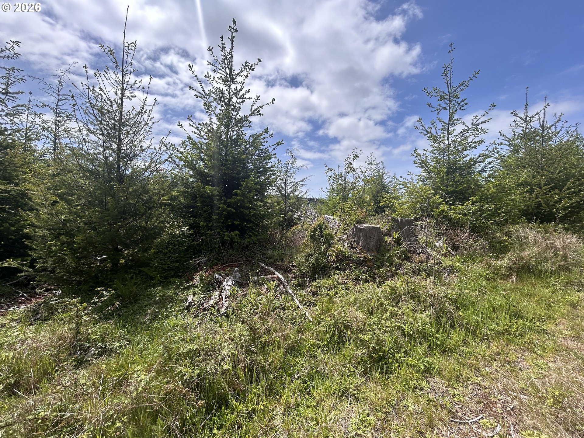 Eden Valley Rd Property Photo 6