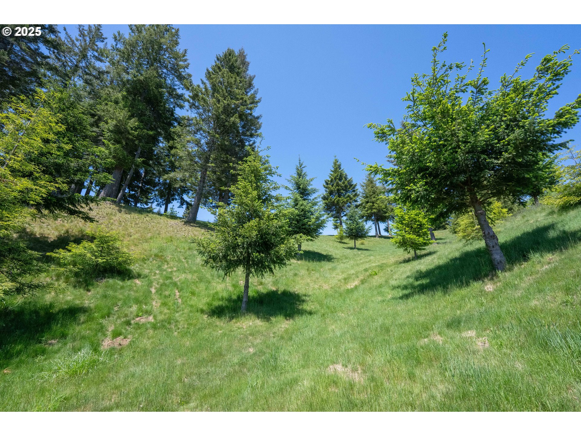 Bridgeview Dr Property Photo 16