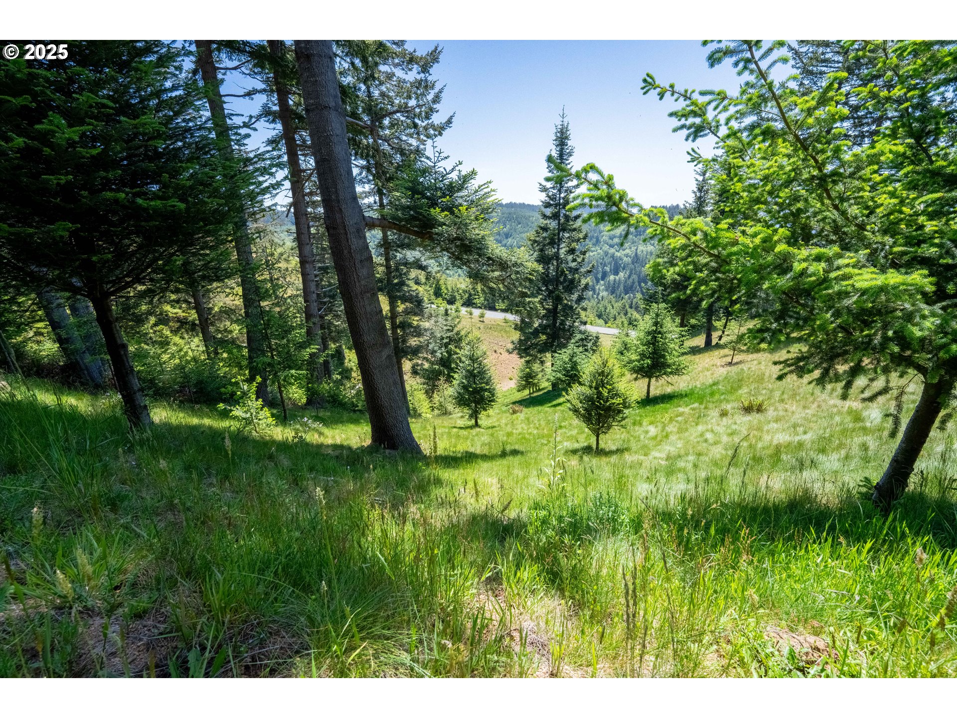 Bridgeview Dr Property Photo 19