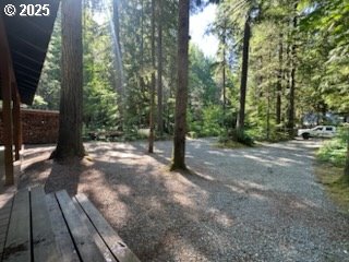 Cabin 62 Northwoods Property Photo 2