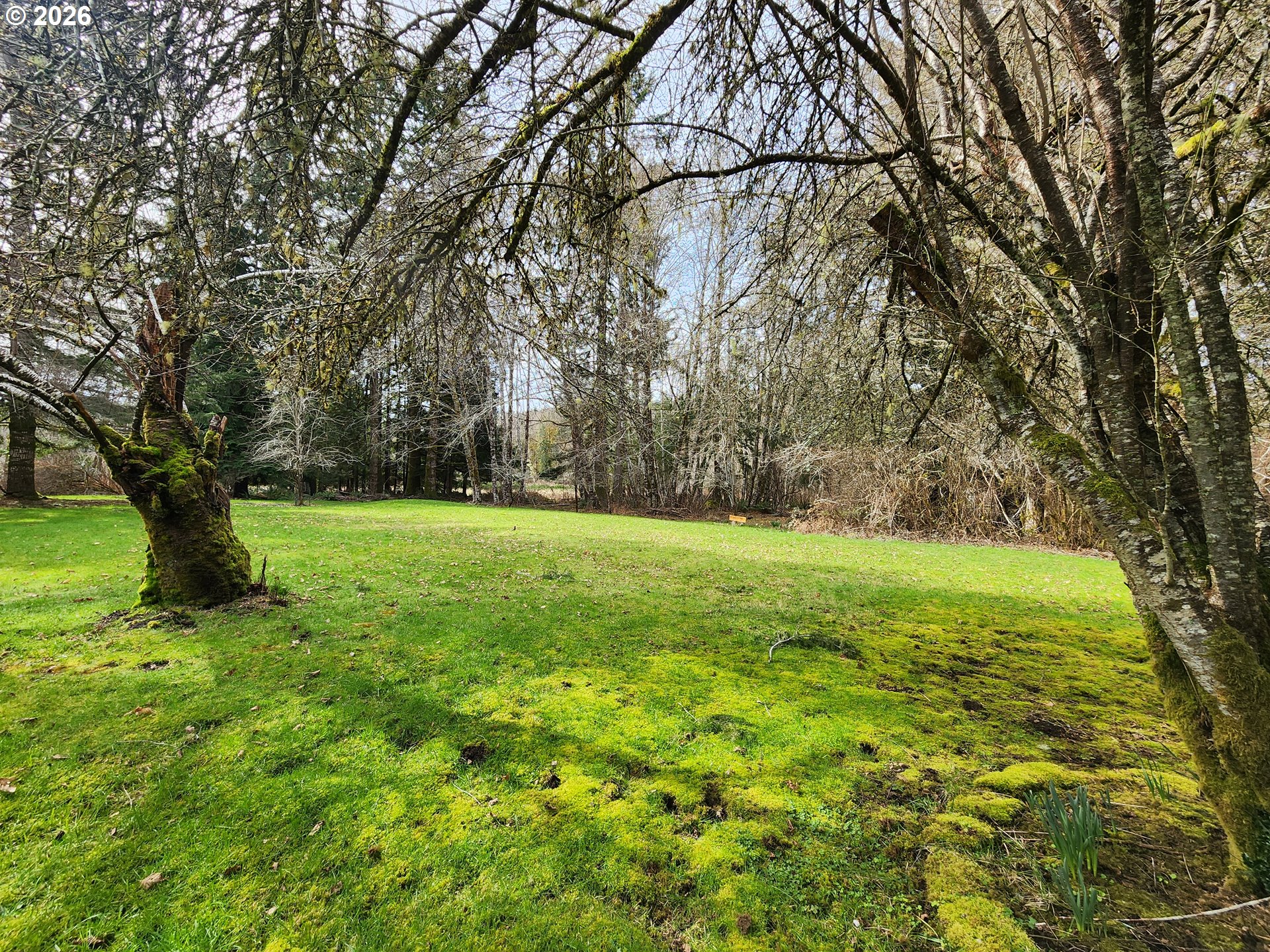 41214 Matt Kampy Rd Property Photo 43