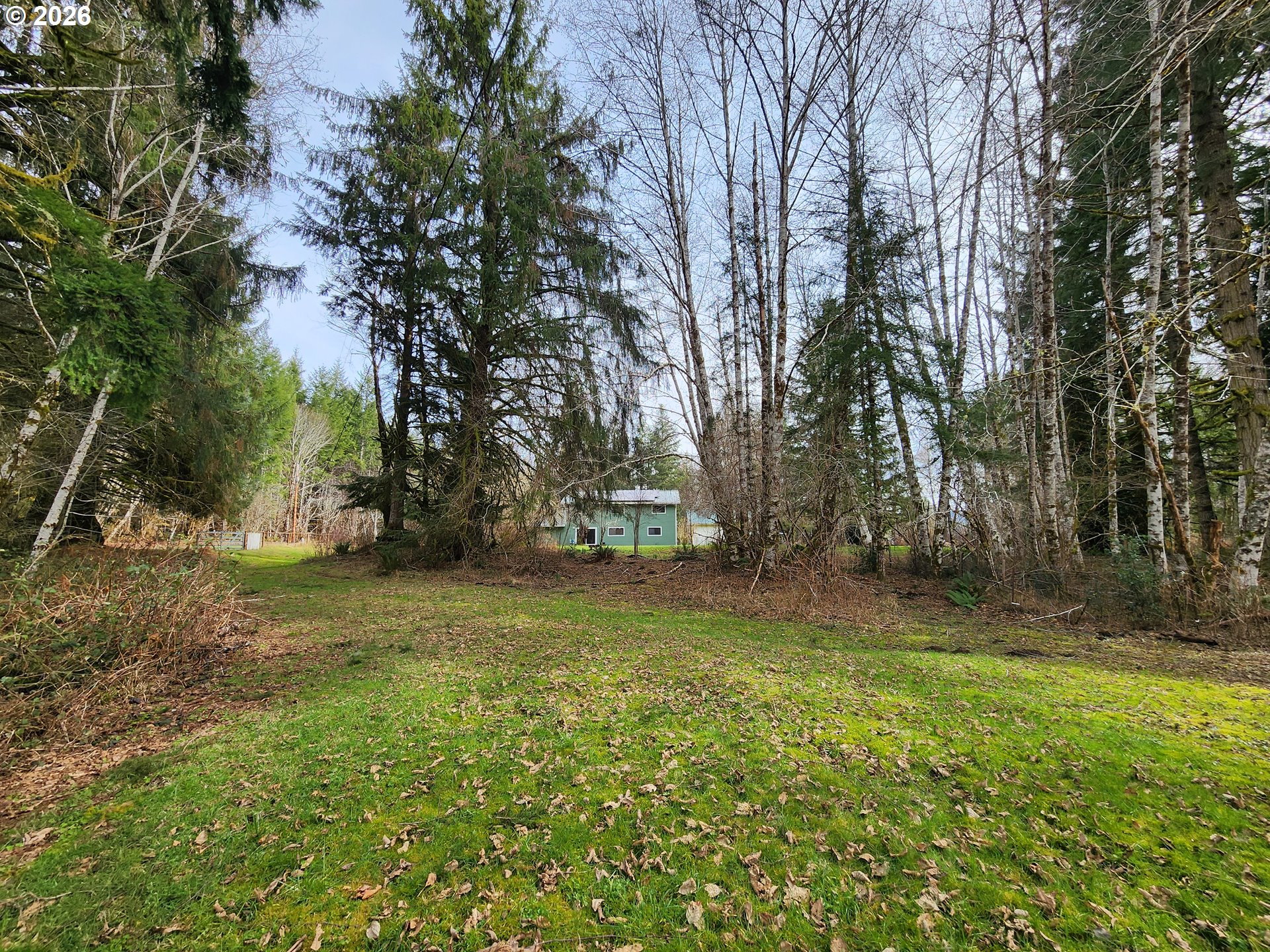 41214 Matt Kampy Rd Property Photo 45