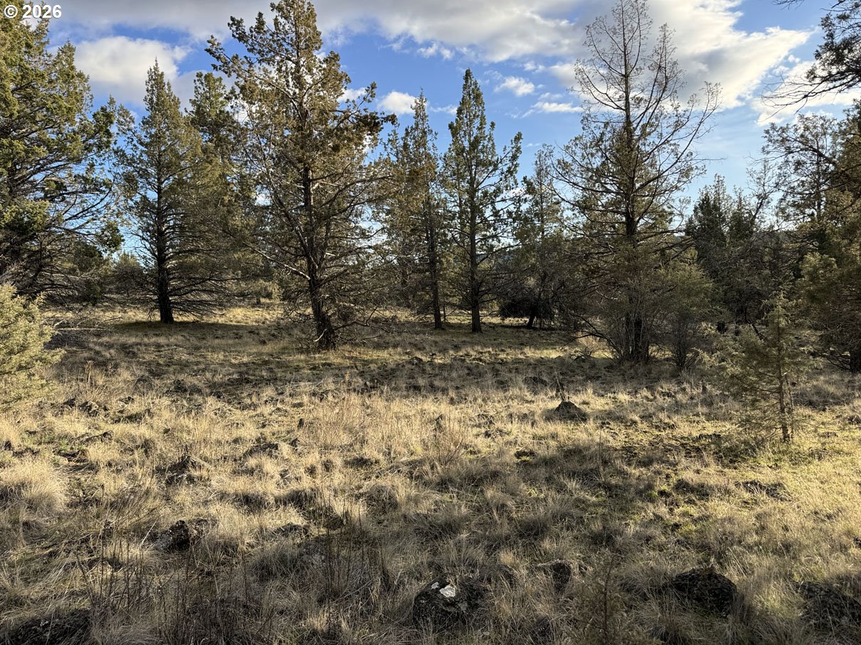 Canvasback Dr 35 Property Photo 1